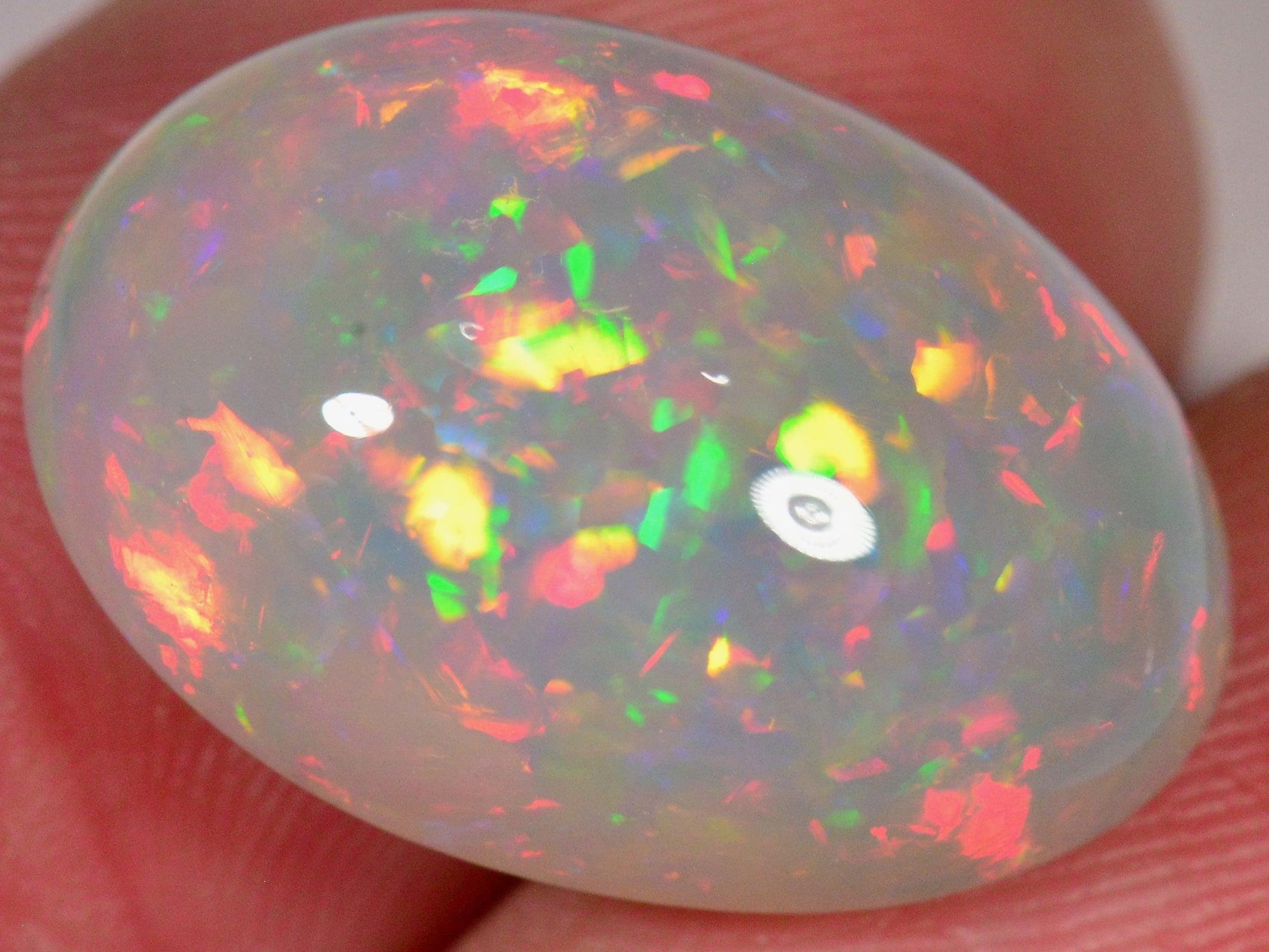 14.4 Karat - Sehr schöner Äthiopischer Welo Opal mit Chaff - Pattern - DeinOpal