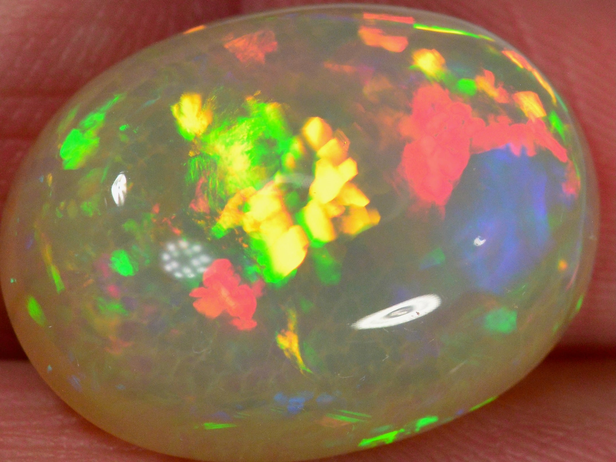 15.2 Karat - Oval geschliffener Äthiopischer Welo Opal mit schönem Muster - DeinOpal