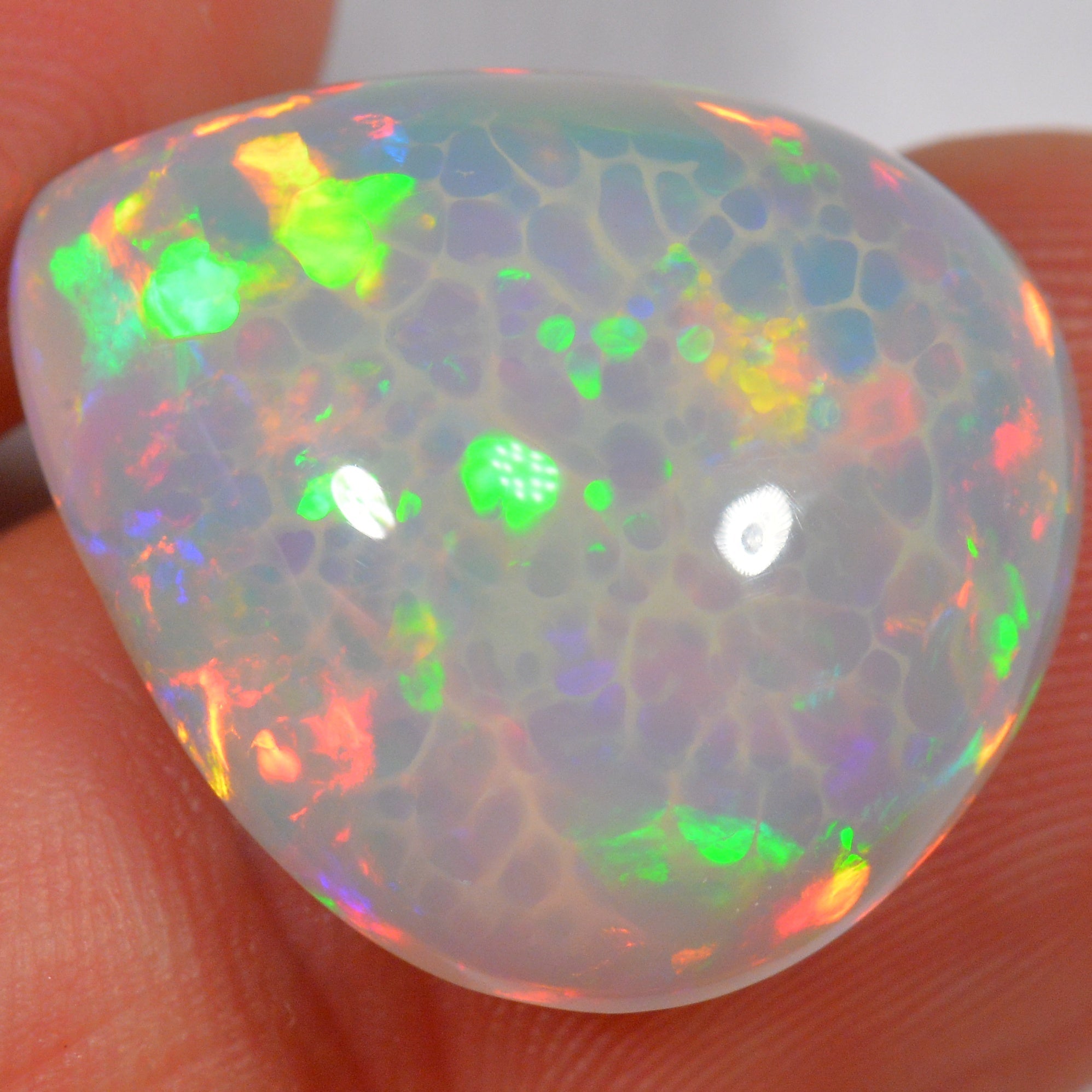 15.2 Karat - Schöner Äthiopischer Welo Opal mit Zellenmuster - DeinOpal