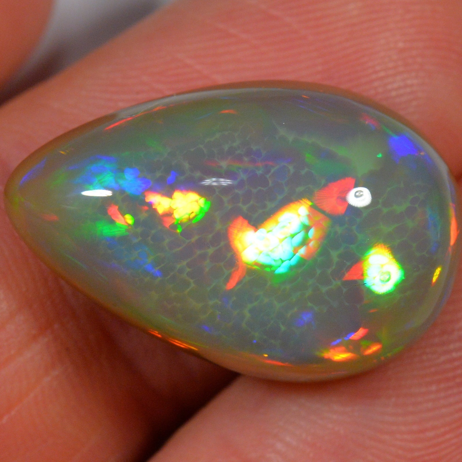 15.7 Karat - Äthiopischer Welo Opal - DeinOpal