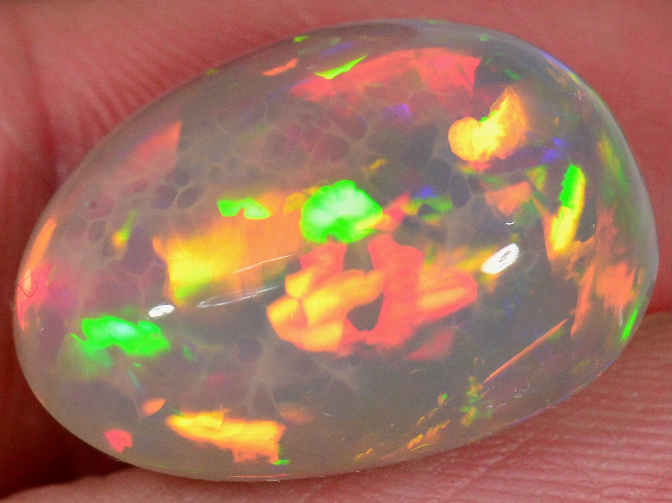 16.7 Karat - Dunkler leuchtender Äthiopischer Welo Opal - DeinOpal