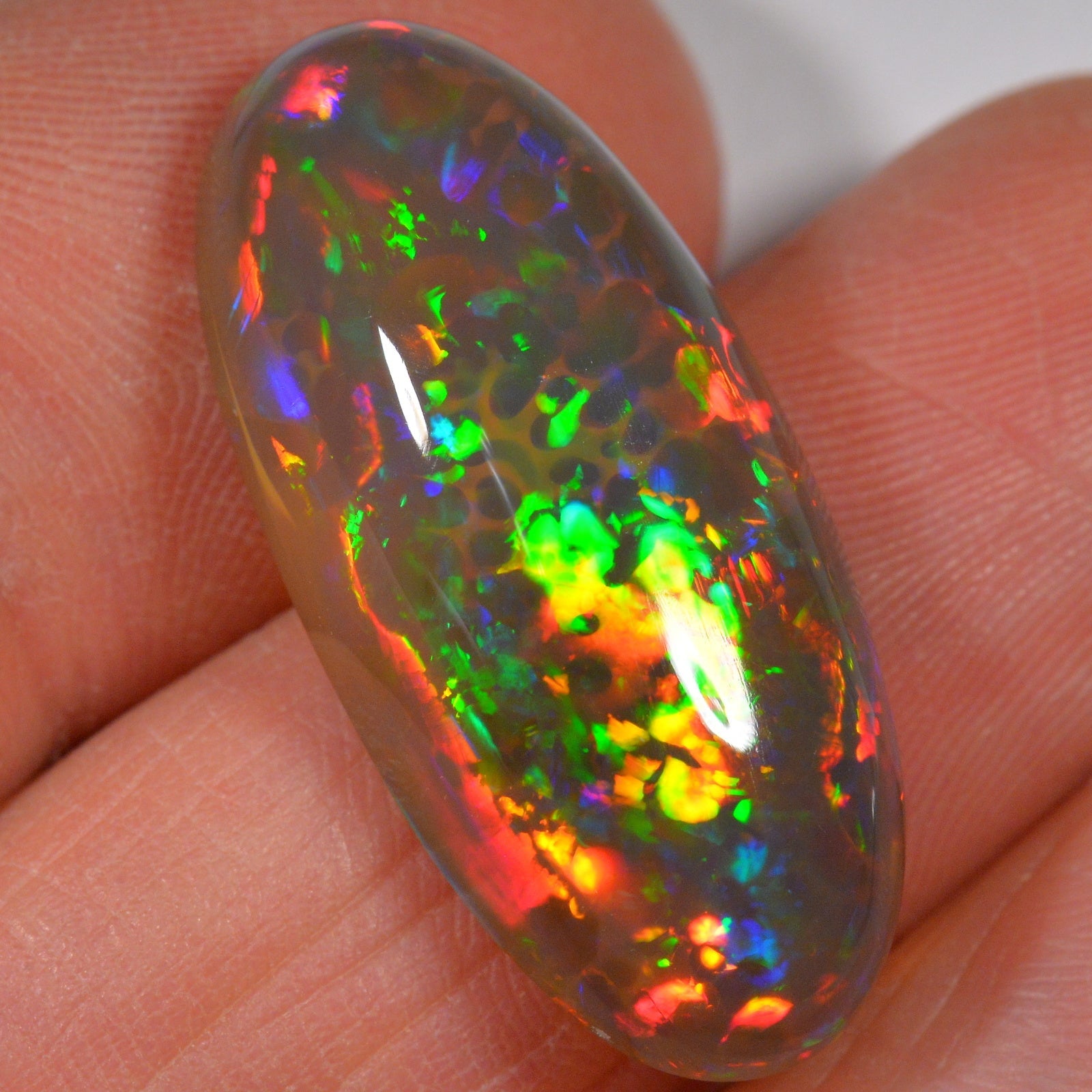 16.8 Karat - Äthiopischer Welo Opal - DeinOpal