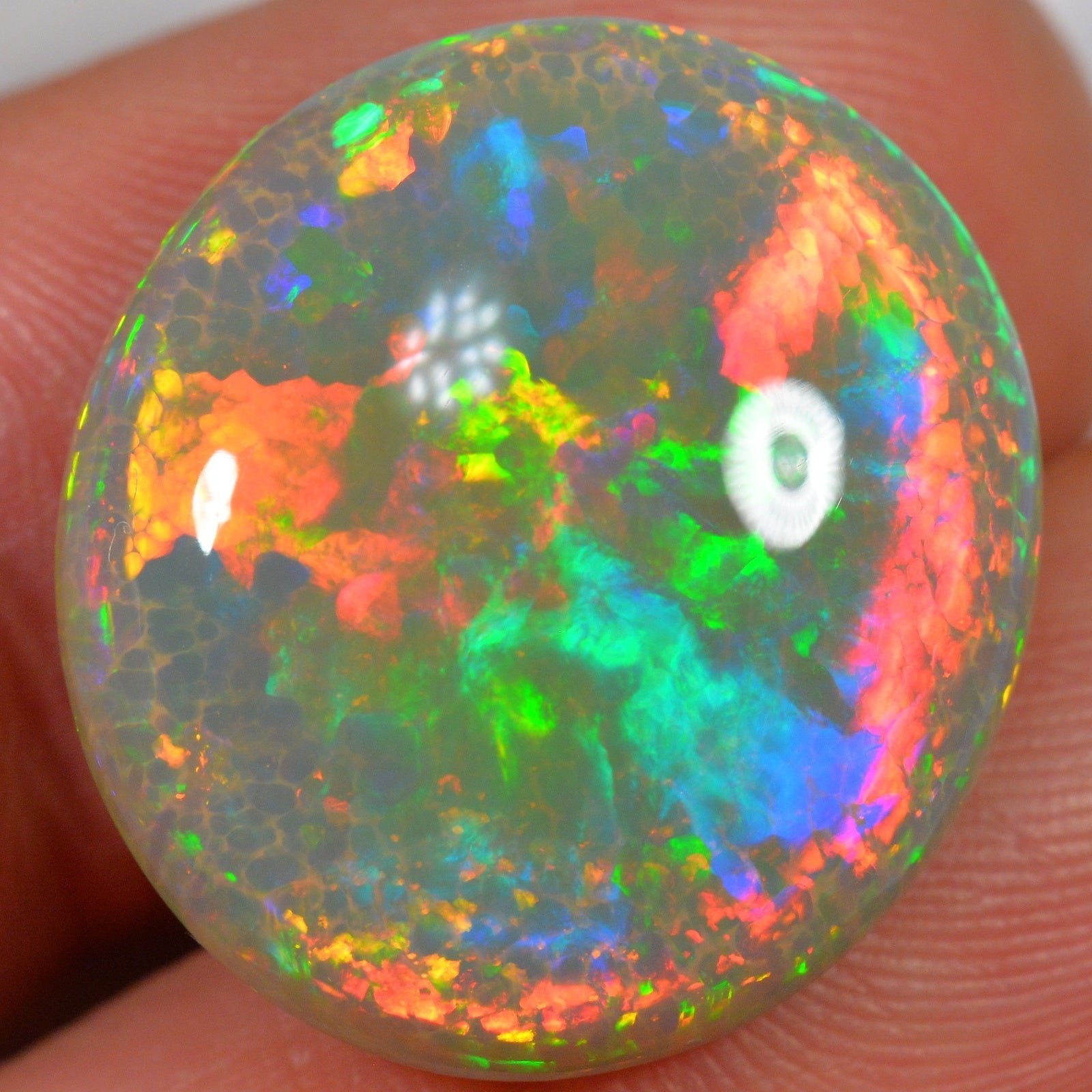 19.1 Karat - Exquisite Dunkler Äthiopischer Welo Opal - DeinOpal
