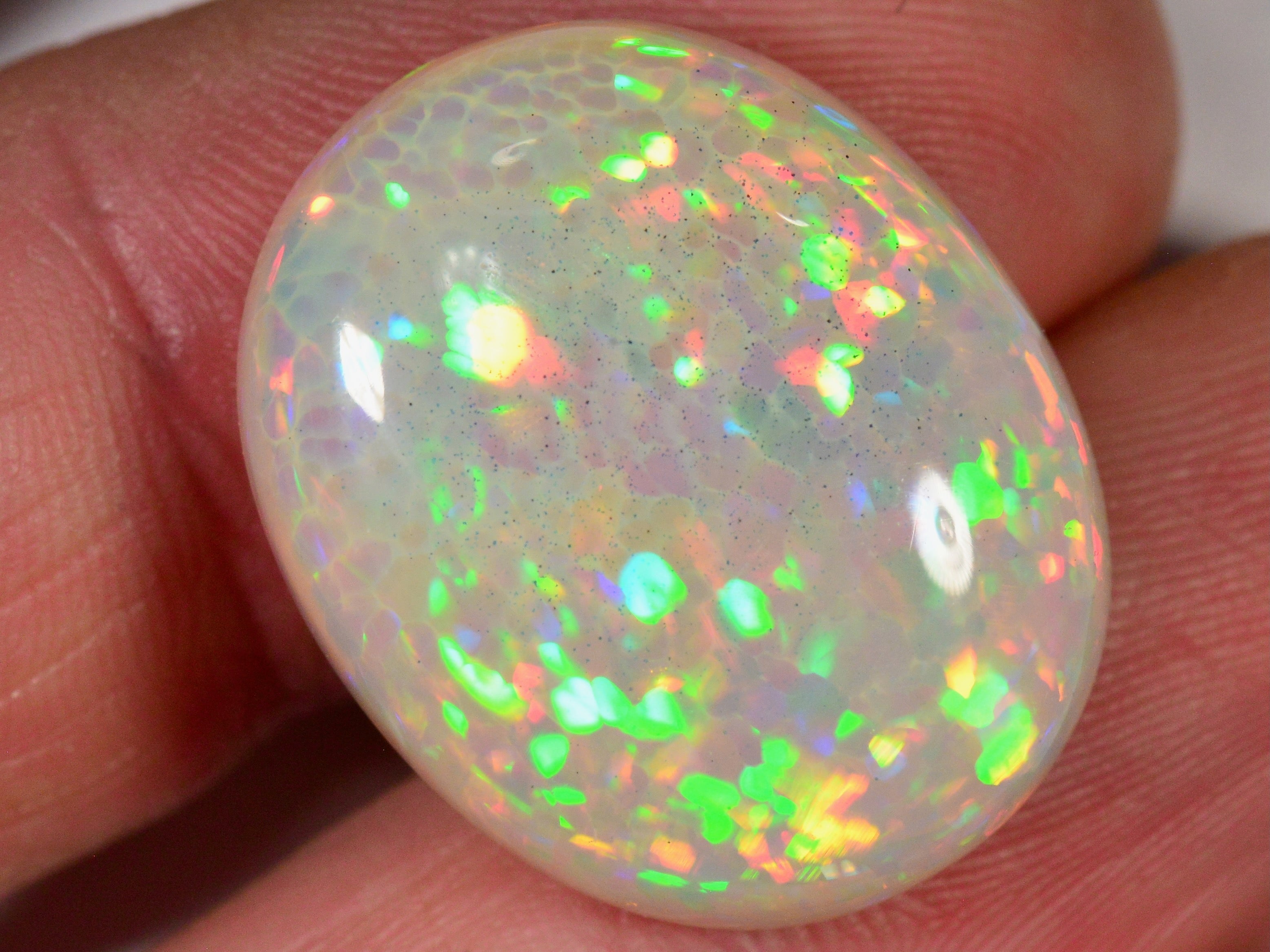 19.2 Karat - Oval geschliffener Äthiopischer Welo Opal mit schönem Muster - DeinOpal