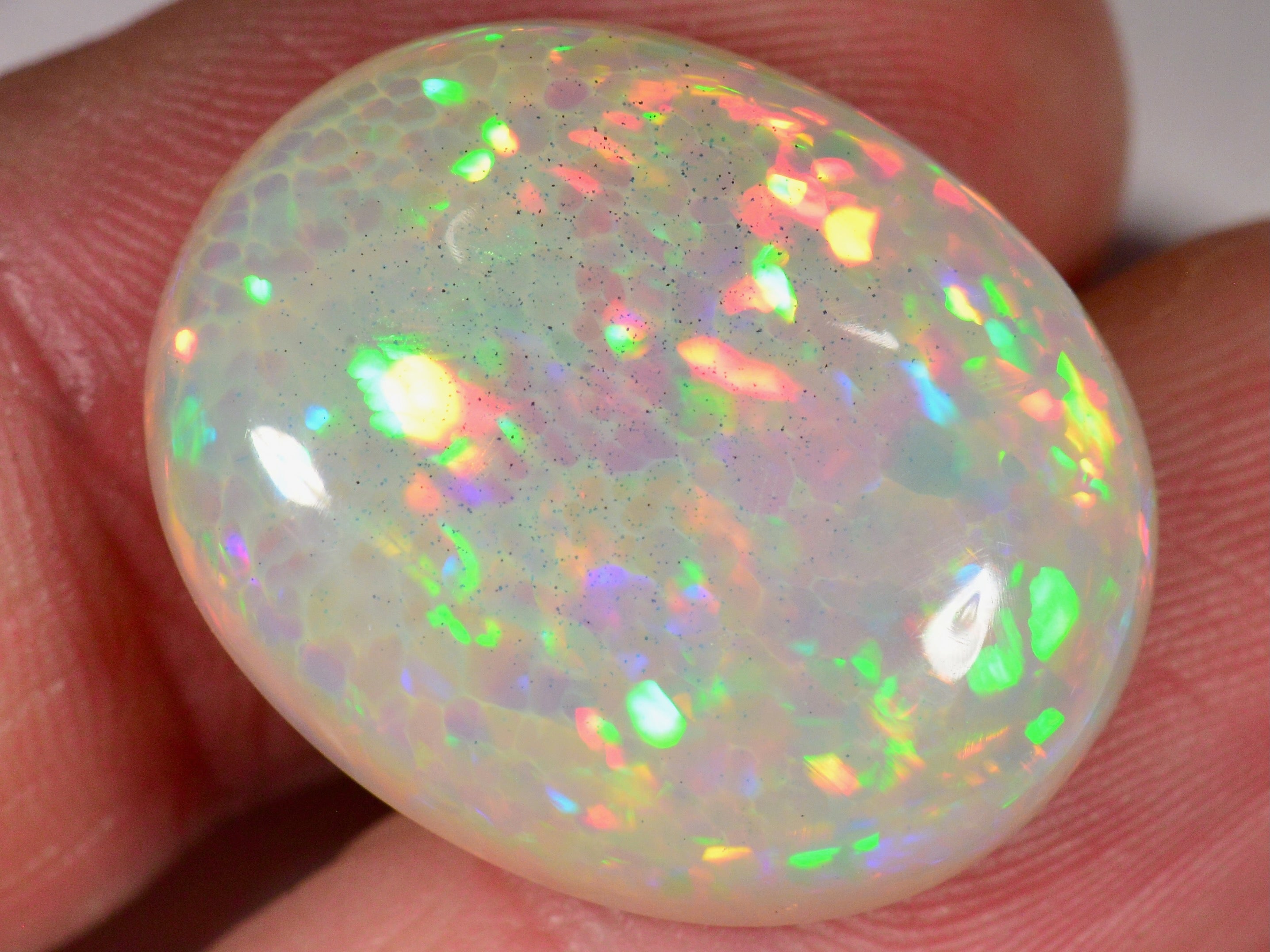 19.2 Karat - Oval geschliffener Äthiopischer Welo Opal mit schönem Muster - DeinOpal