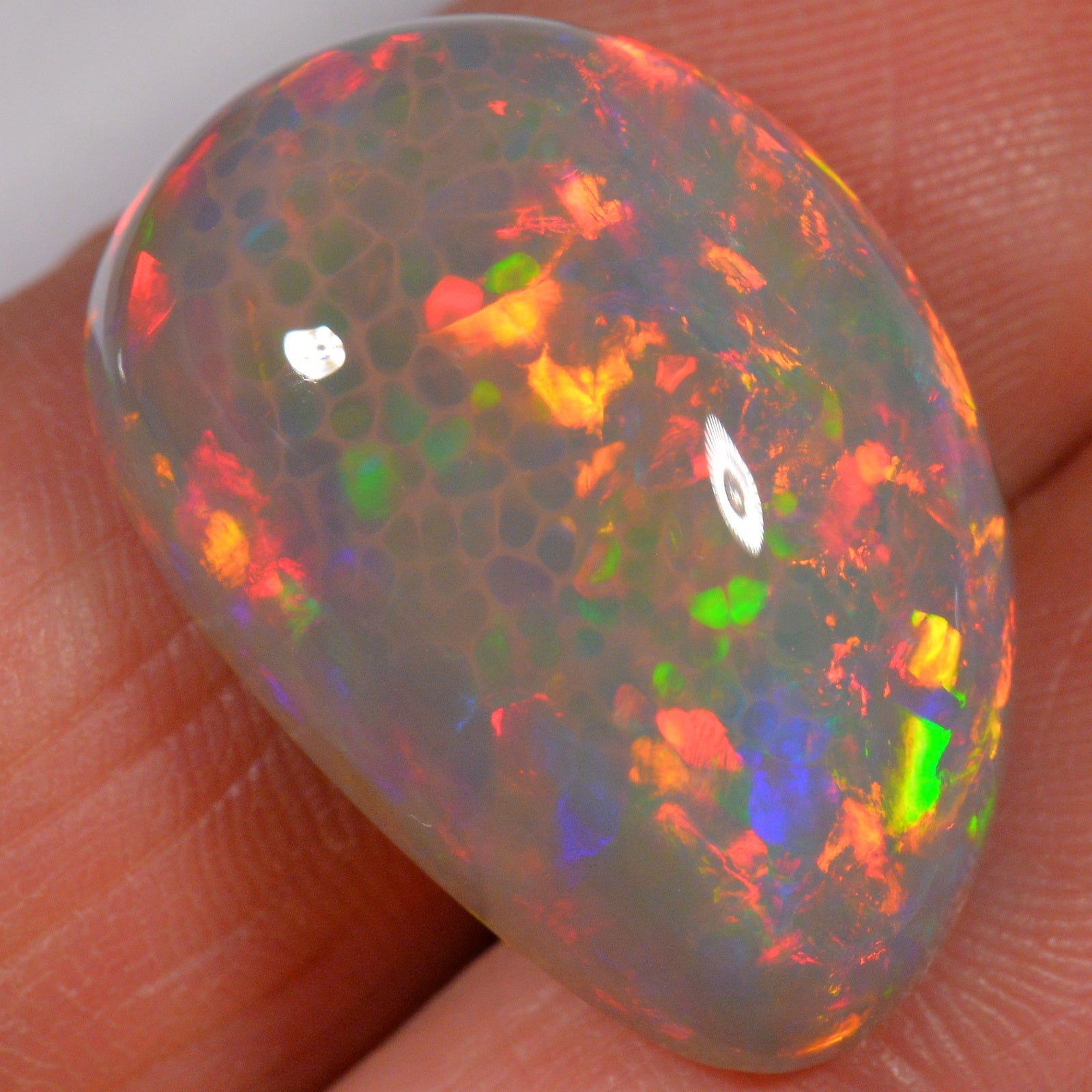 19.5 Karat - Äthiopischer Welo Opal - DeinOpal