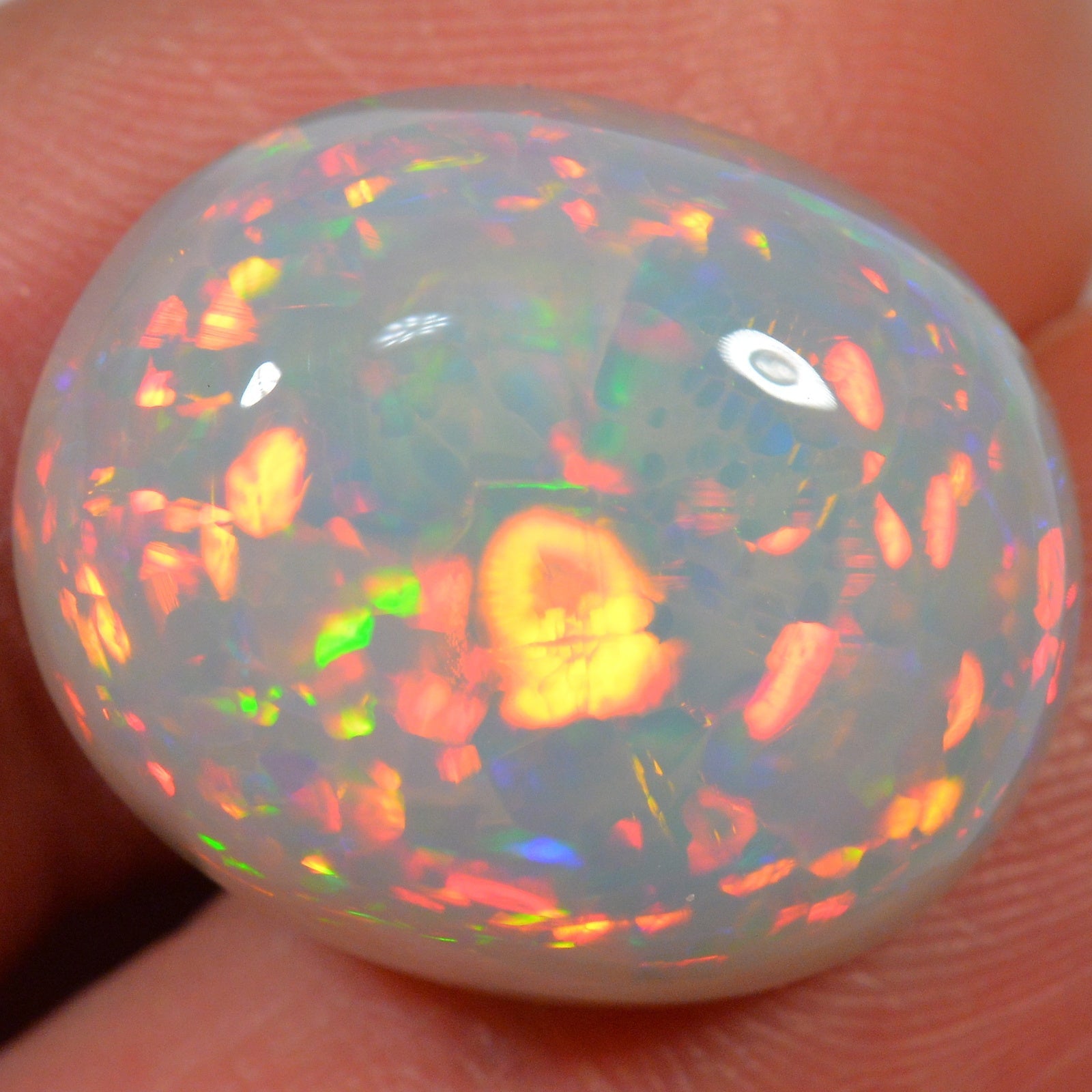 20.4 Karat - Äthiopischer Welo Opal - DeinOpal