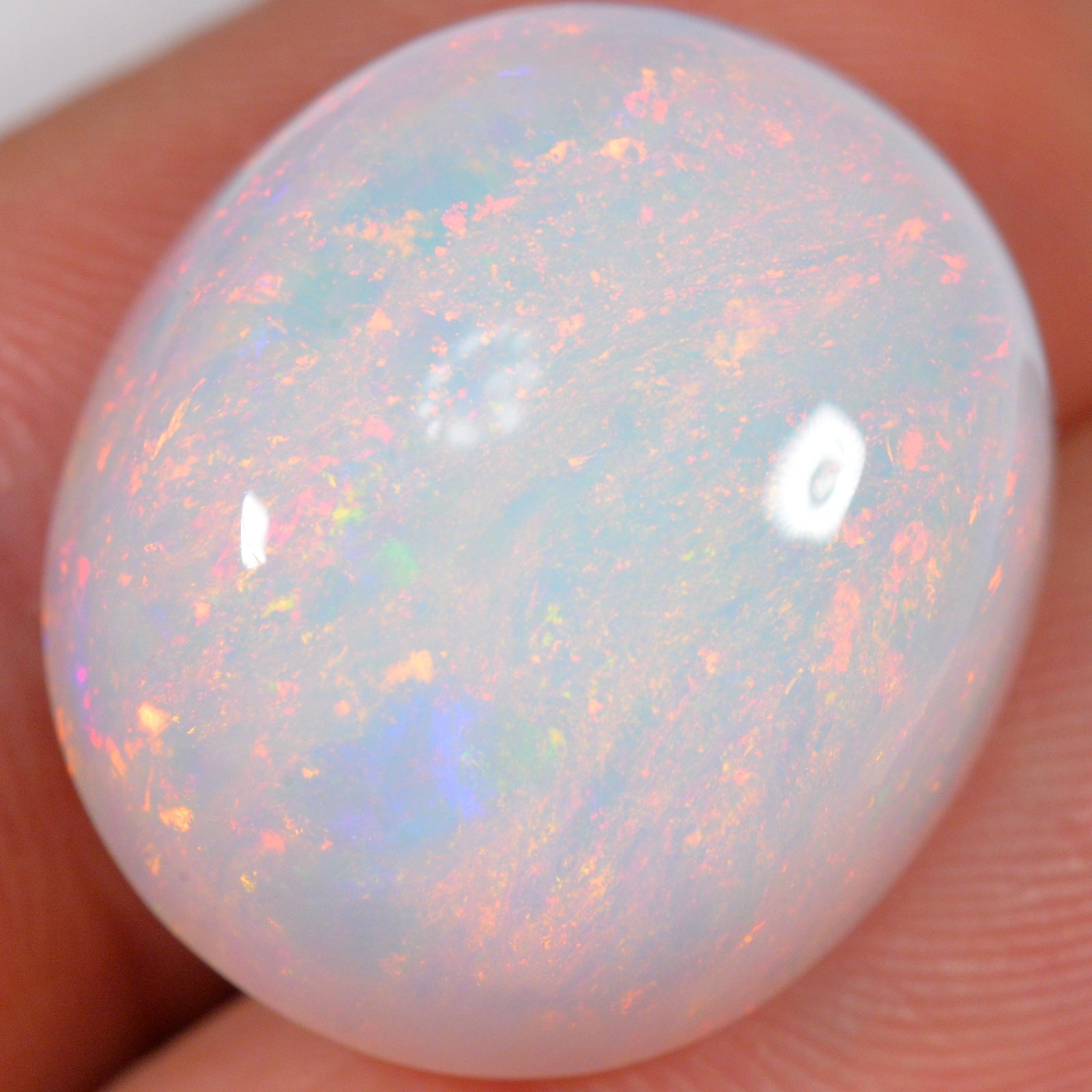 21.9 Carat - Big Oval Ethiopian Welo Opal With Reds — natural untreated Ethiopian Welo opal