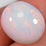 21.9 Carat - Big Oval Ethiopian Welo Opal With Reds — natural untreated Ethiopian Welo opal