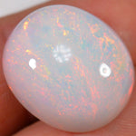 21.9 Carat - Big Oval Ethiopian Welo Opal With Reds — natural untreated Ethiopian Welo opal