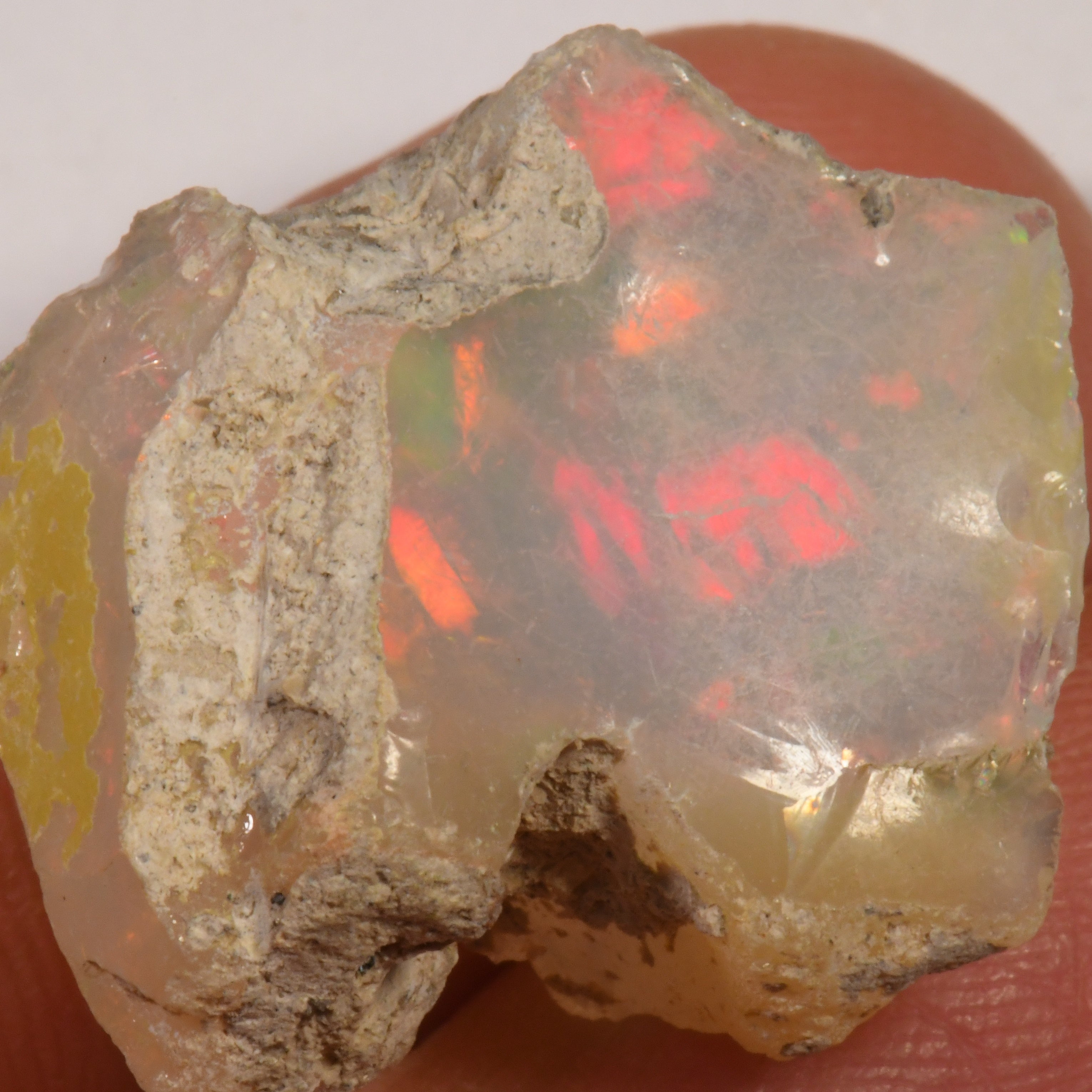 22.4 Karat - Roher Äthiopischer Welo Opal - DeinOpal