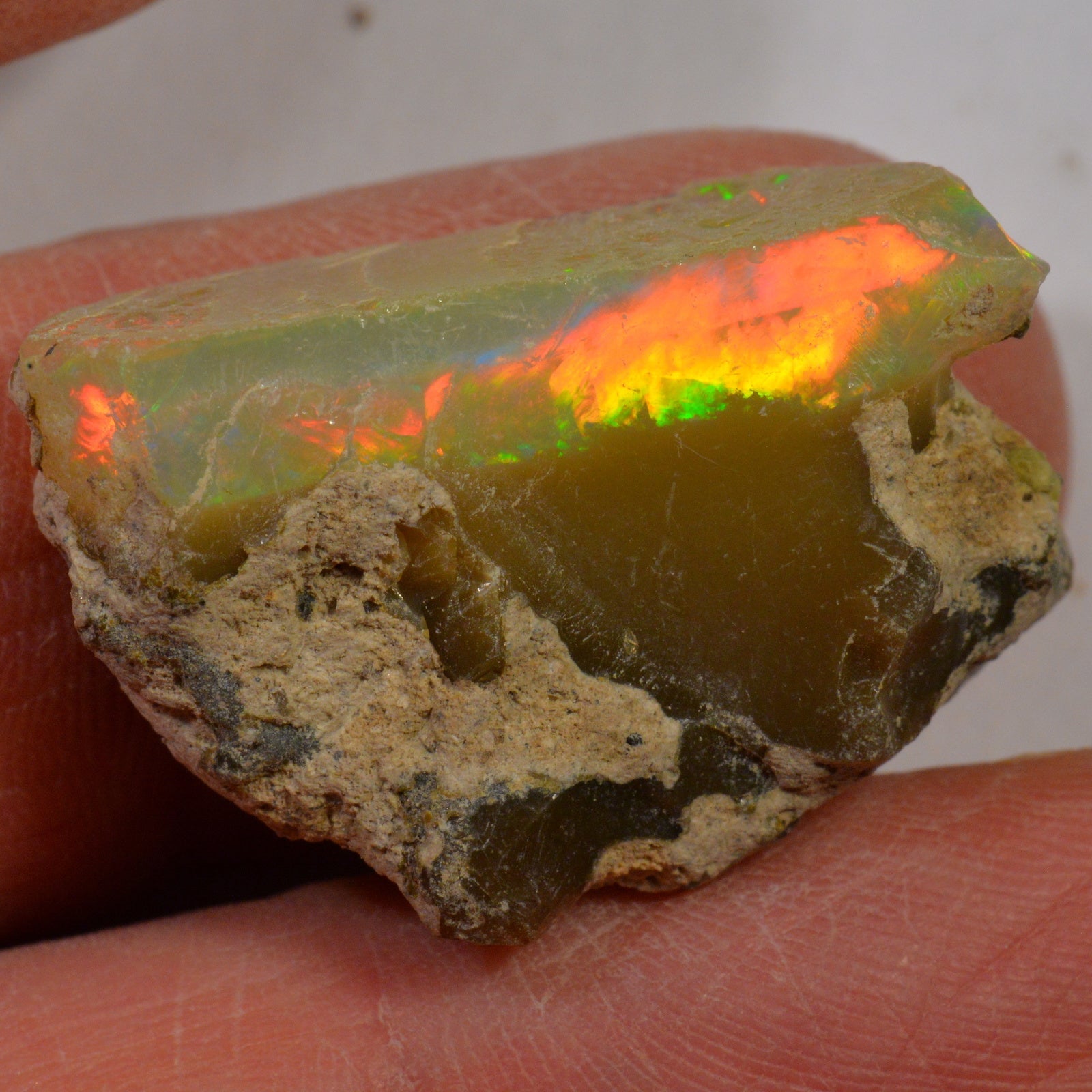 24 Karat - Roher Äthiopischer Welo Opal - DeinOpal