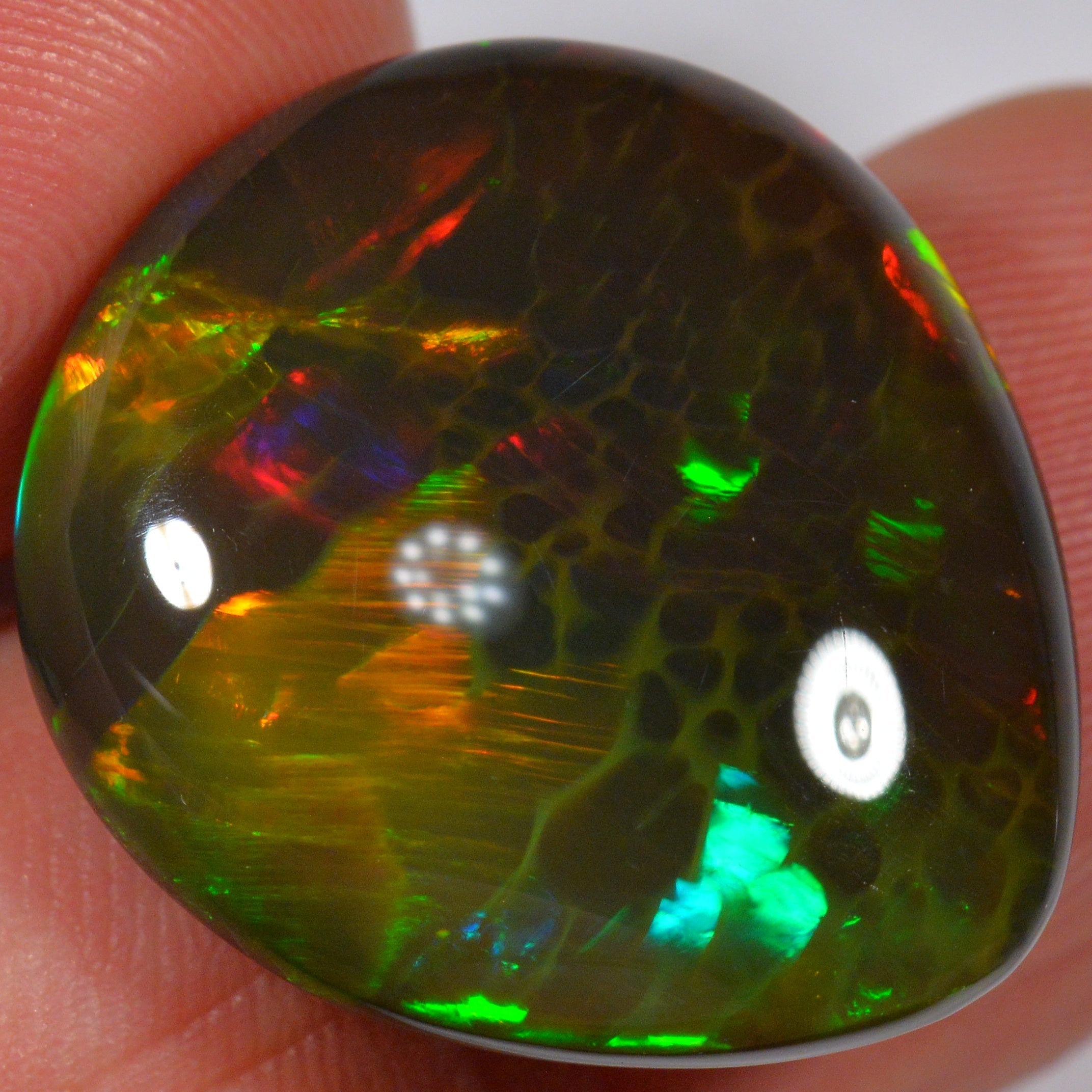 24.8 Karat - Natürlicher Äthiopischer Schwarzopal - Beska Mine - DeinOpal