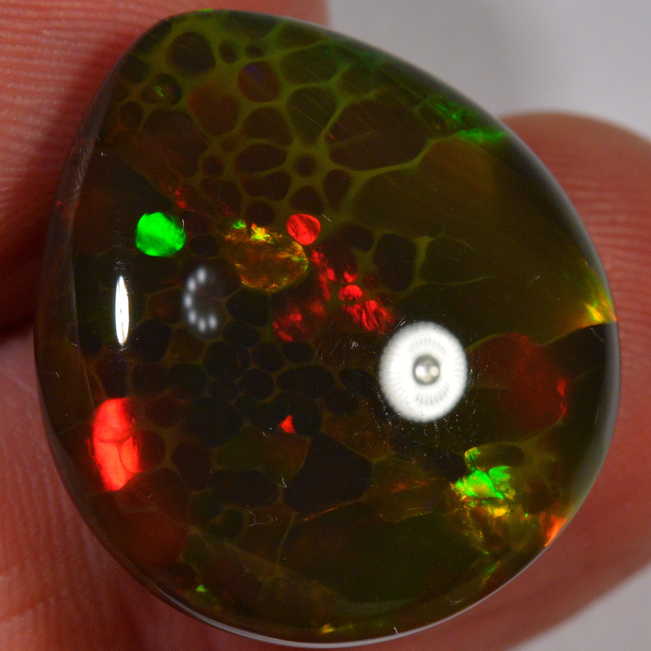 24.8 Karat - Natürlicher Äthiopischer Schwarzopal - Beska Mine - DeinOpal