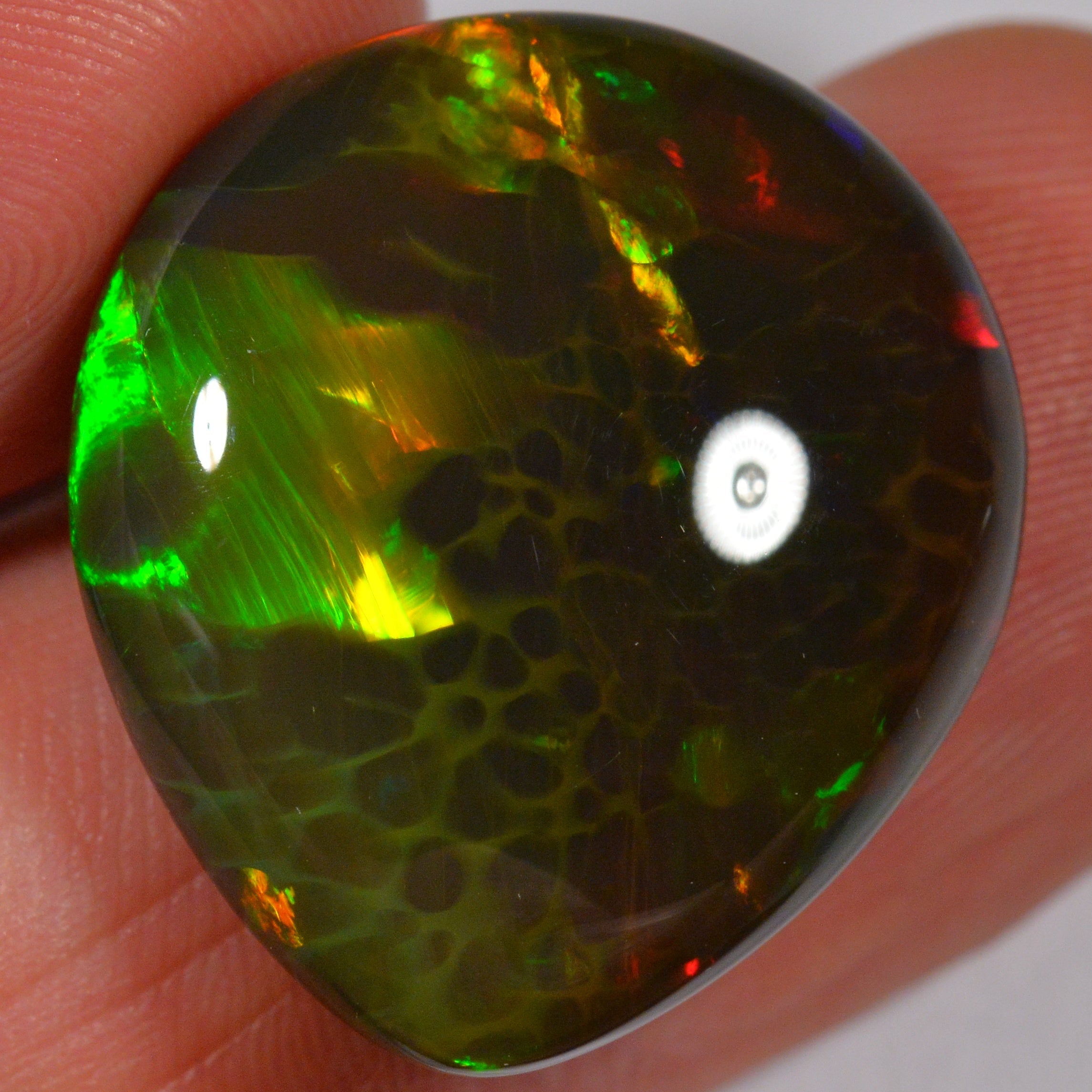 24.8 Karat - Natürlicher Äthiopischer Schwarzopal - Beska Mine - DeinOpal