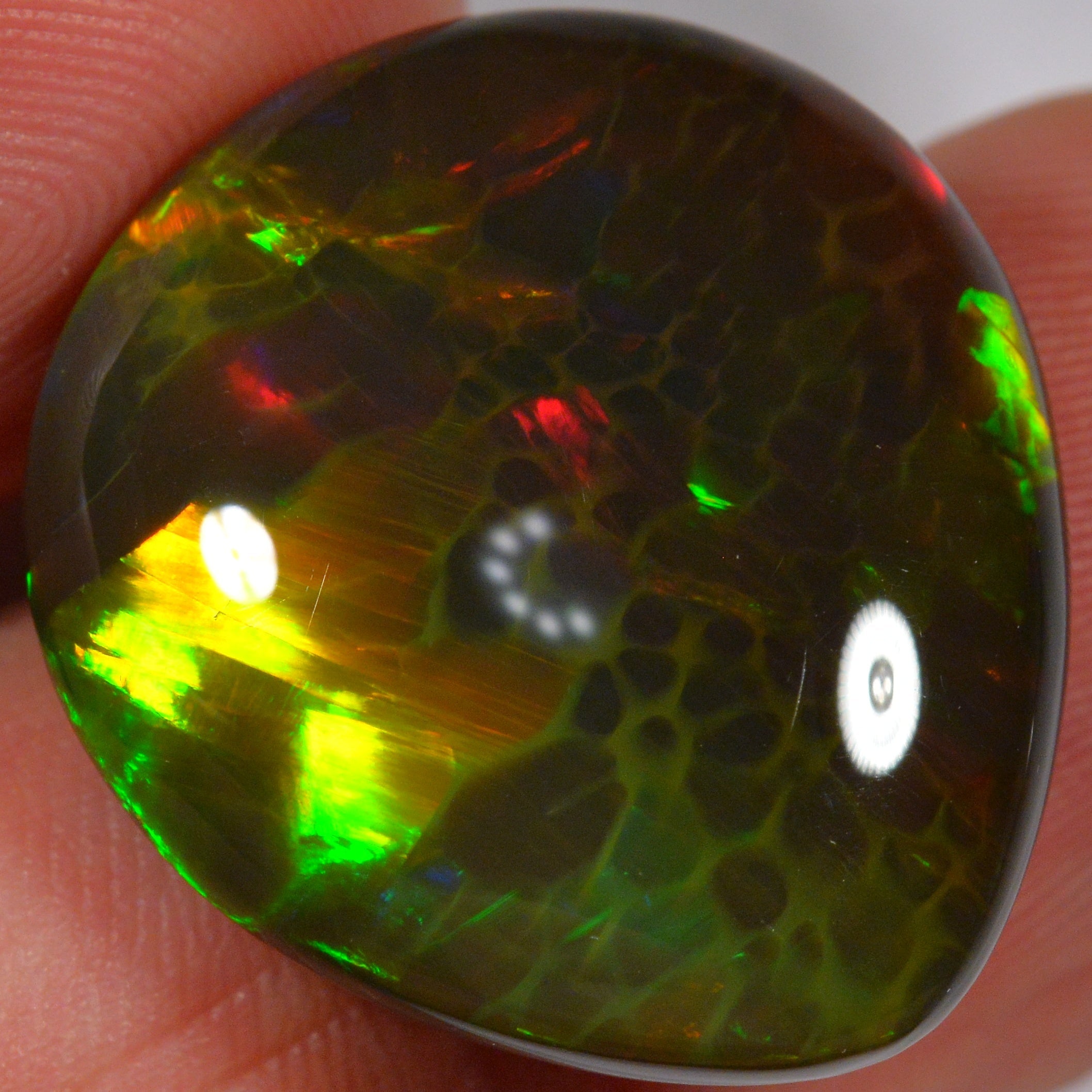 24.8 Karat - Natürlicher Äthiopischer Schwarzopal - Beska Mine - DeinOpal