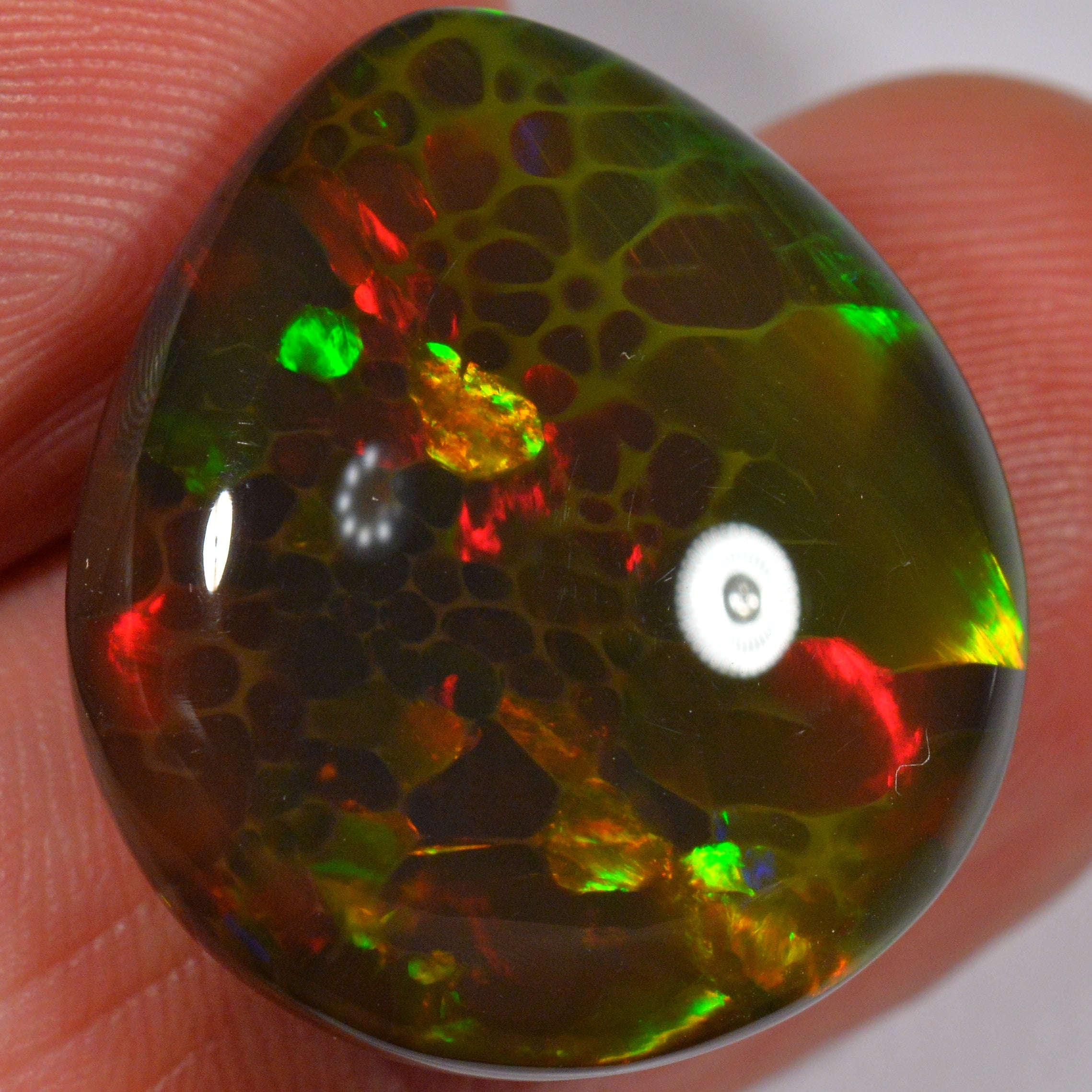 24.8 Karat - Natürlicher Äthiopischer Schwarzopal - Beska Mine - DeinOpal