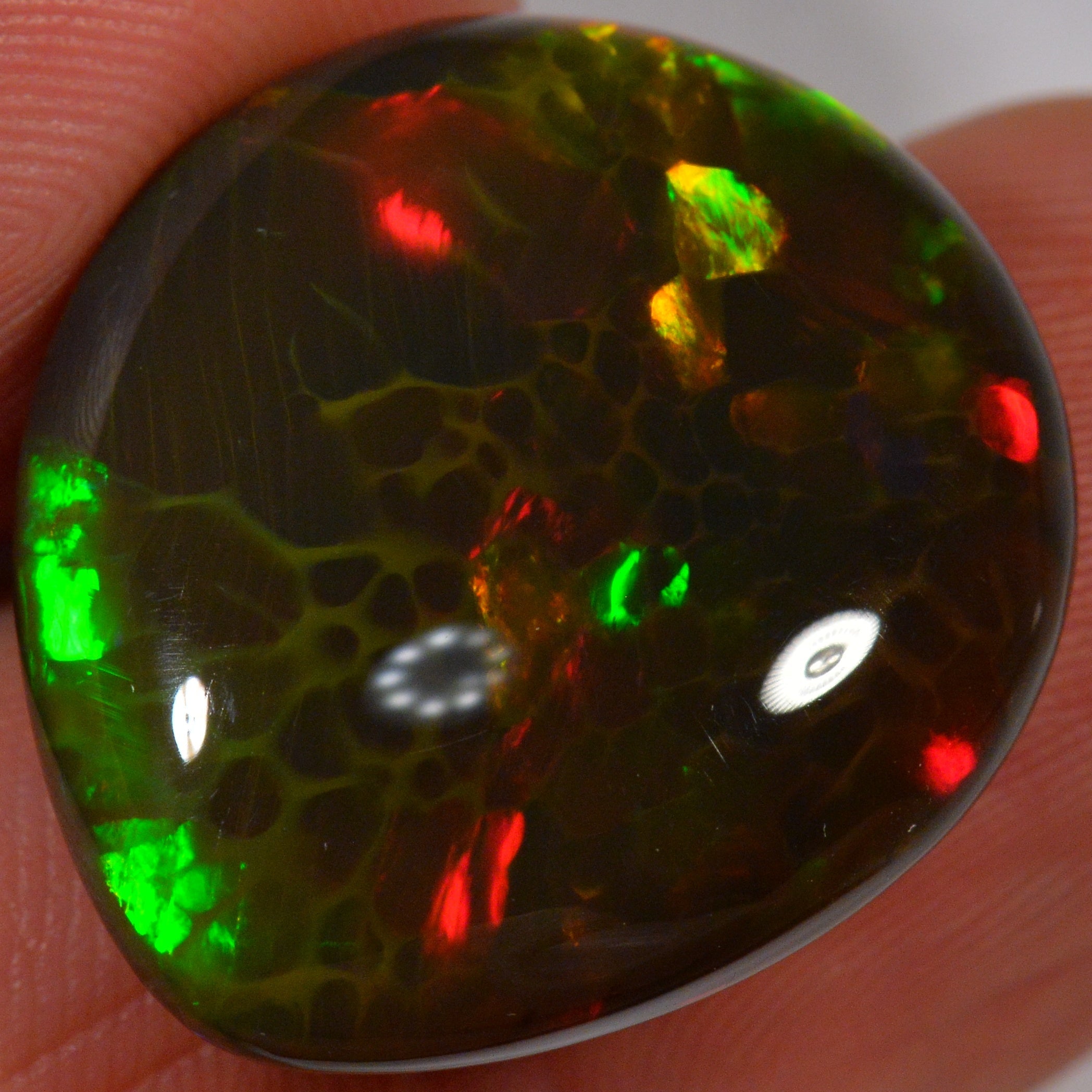 24.8 Karat - Natürlicher Äthiopischer Schwarzopal - Beska Mine - DeinOpal