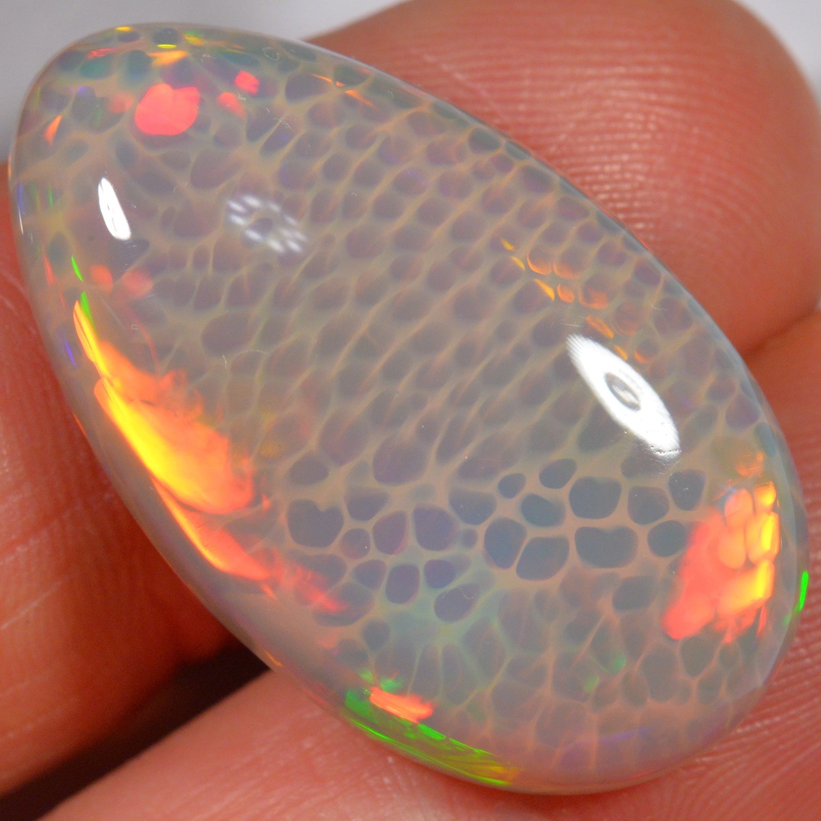 25.6 Karat - Äthiopischer Welo Opal - DeinOpal