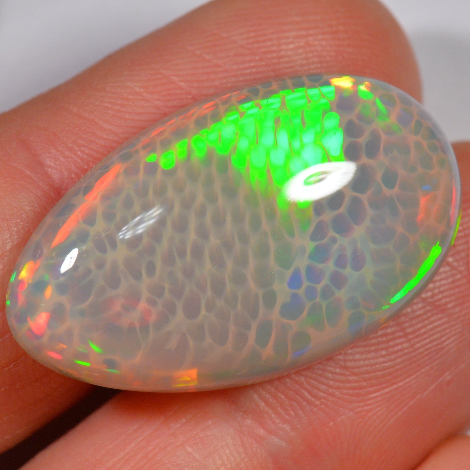 25.6 Karat - Äthiopischer Welo Opal - DeinOpal