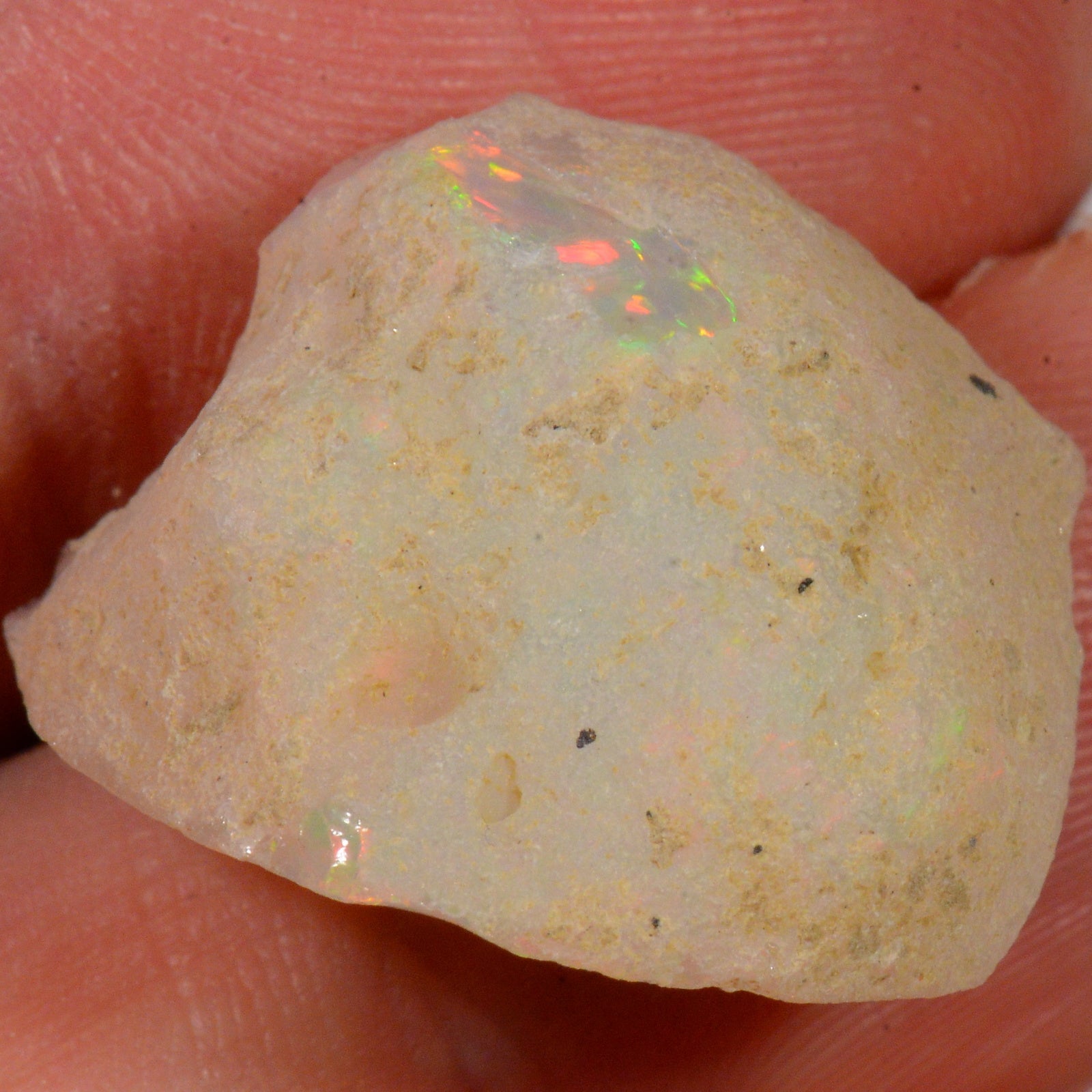 19.3 Karat - Roher Äthiopischer Welo Opal – natürlicher äthiopischer Welo Opal