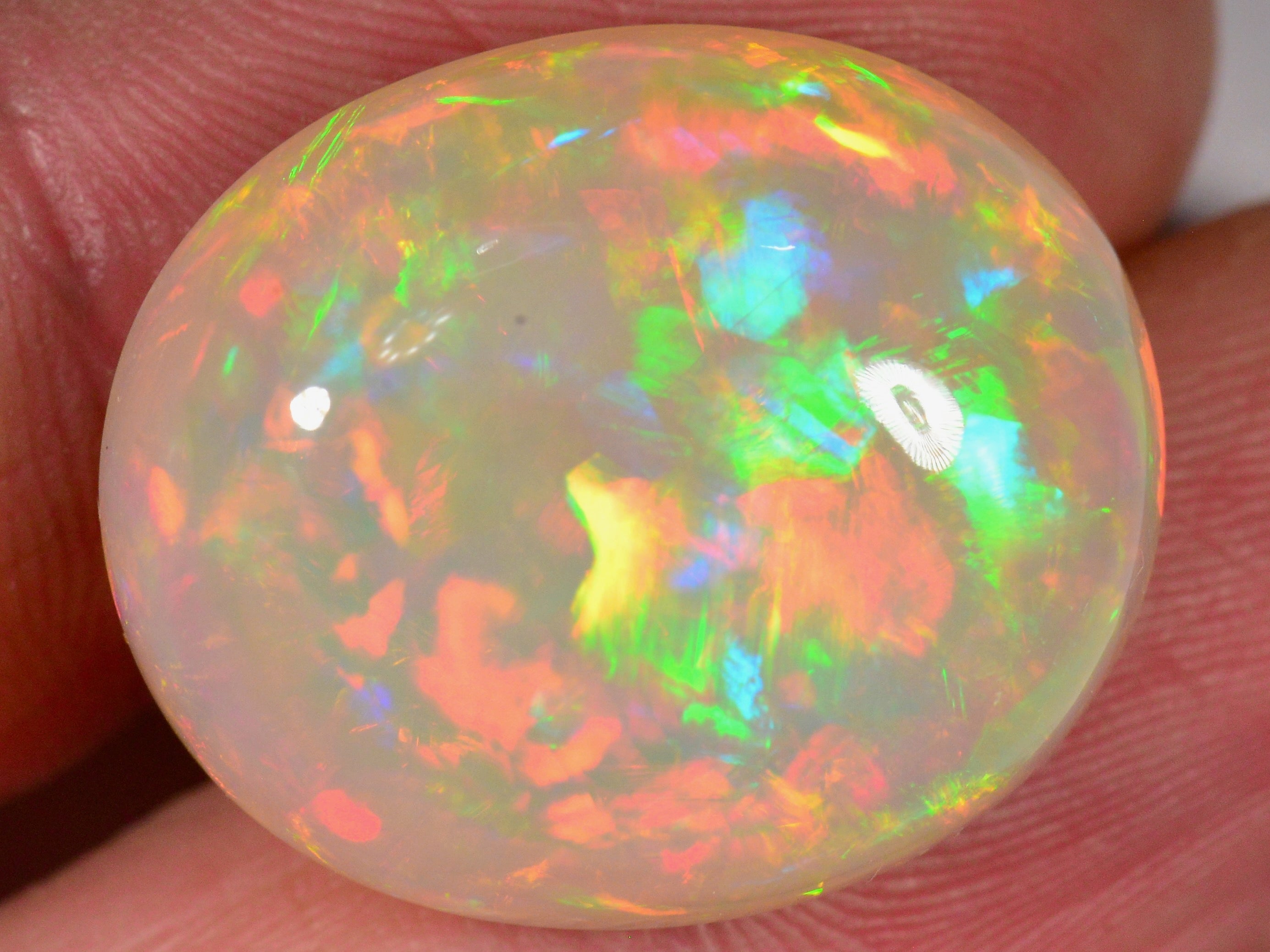 27.5 Karat - Grosser Äthiopischer Welo Opal mit Intensiven Farben - DeinOpal