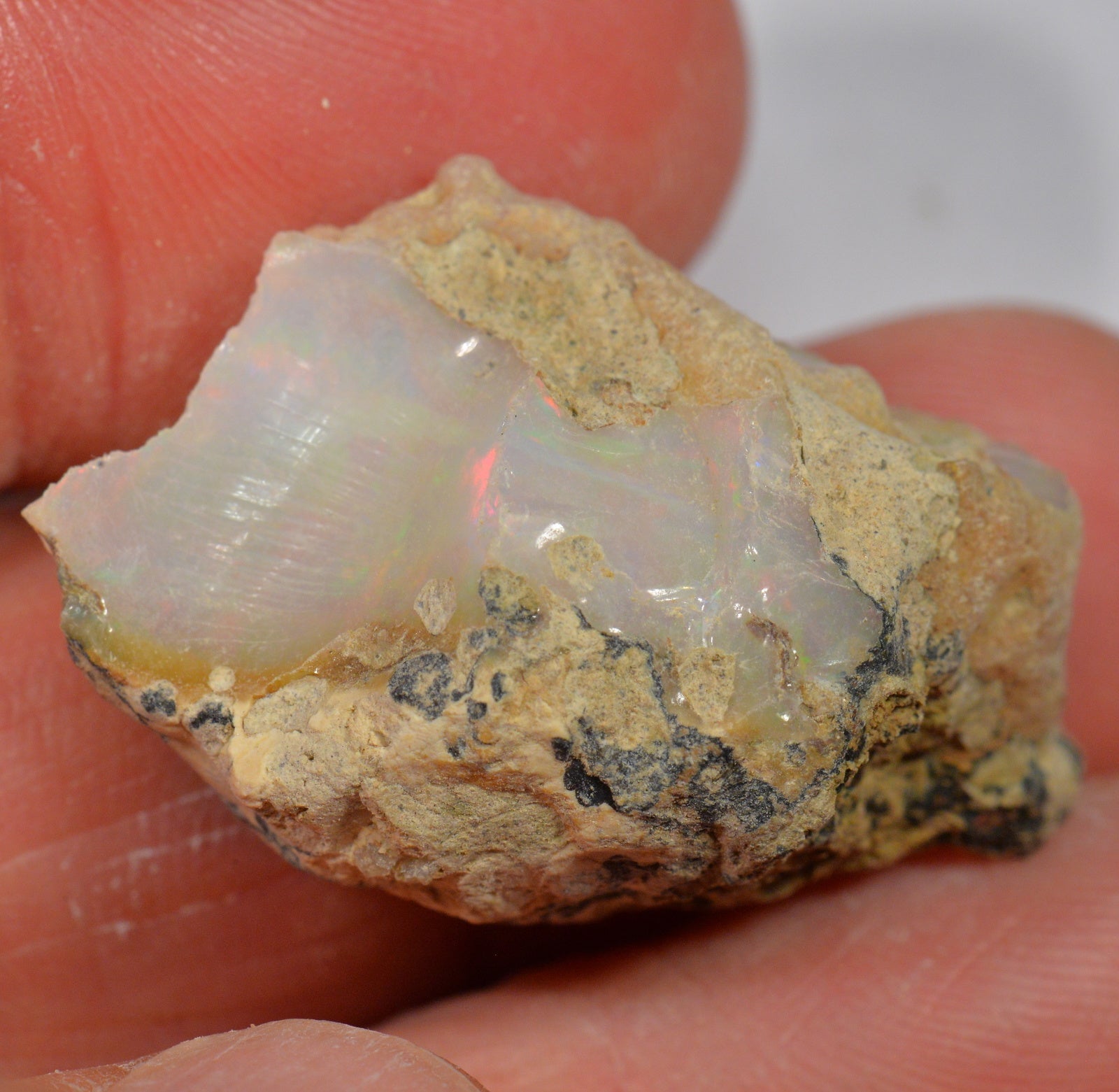 30.5 Karat - Roher Äthiopischer Welo Opal - DeinOpal