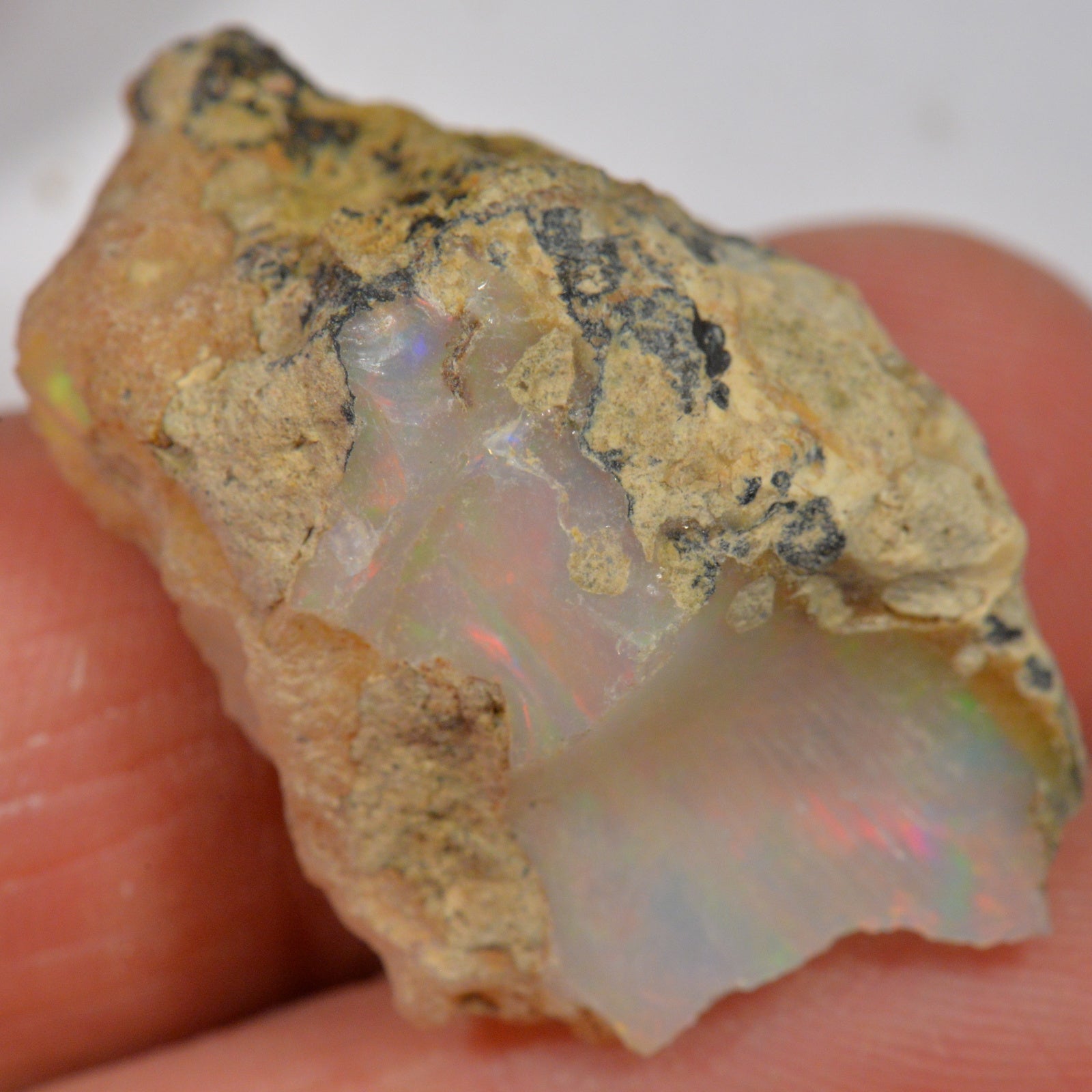 30.5 Karat - Roher Äthiopischer Welo Opal - DeinOpal