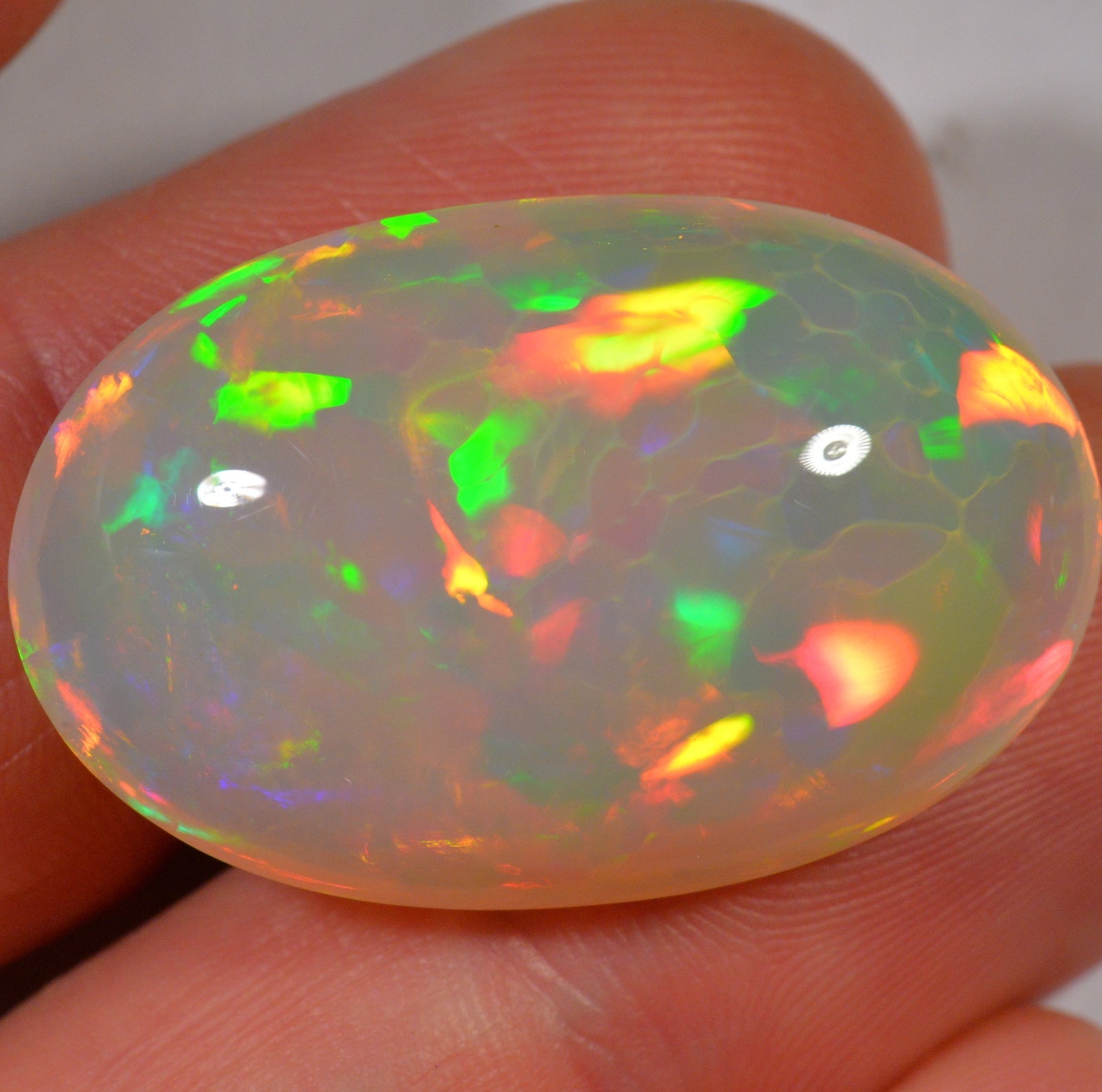 30.7 Karat - Äthiopischer Welo Opal - DeinOpal