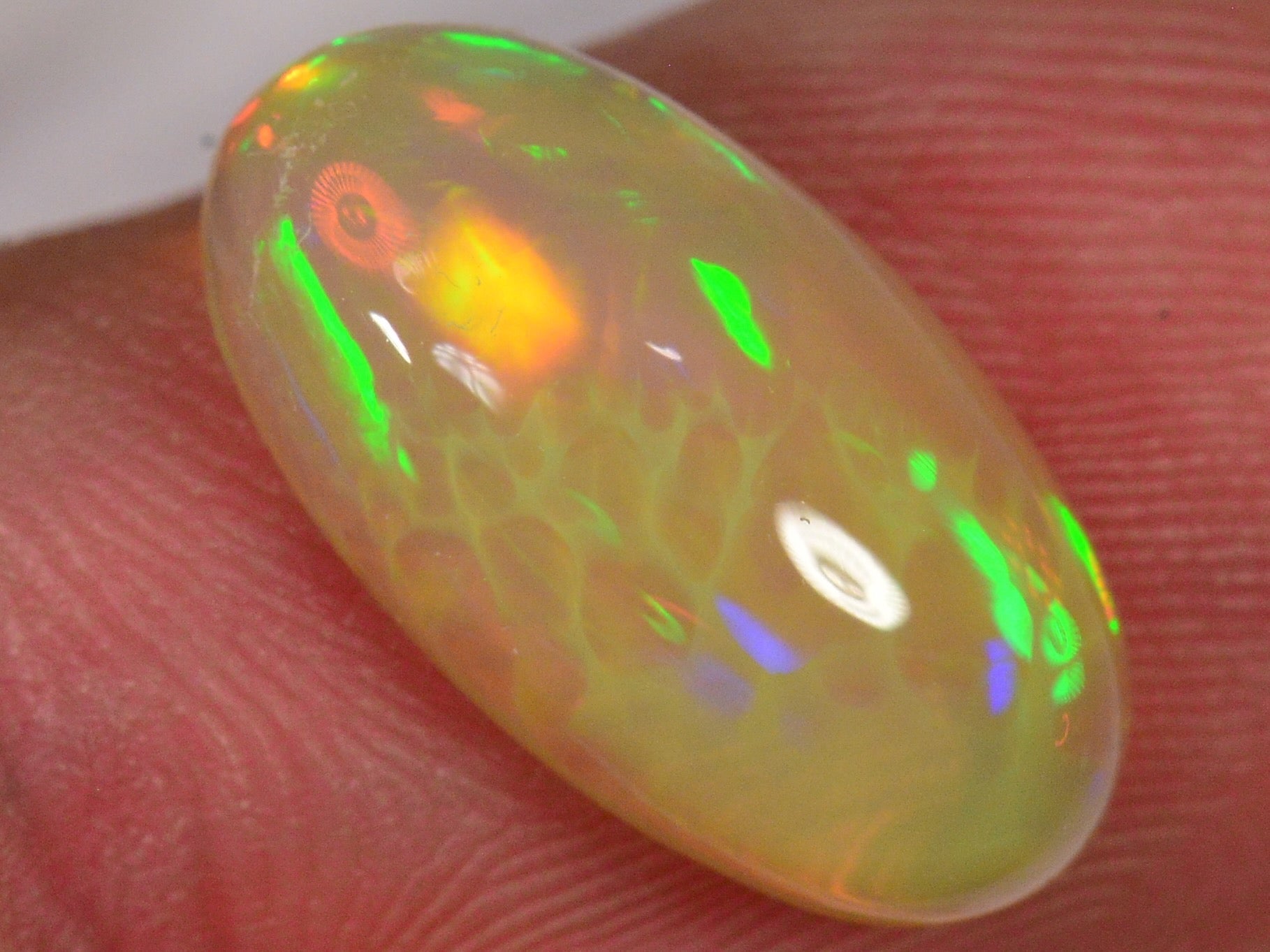 3.1 Karat - Oval geschliffener Äthiopischer Welo Opal mit schönem Muster - DeinOpal