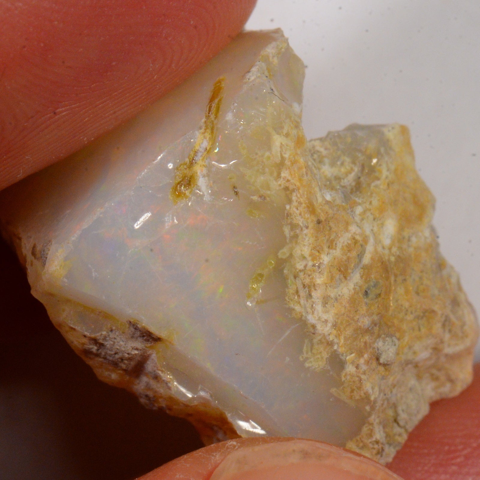 31 Karat - Roher Äthiopischer Welo Opal - DeinOpal
