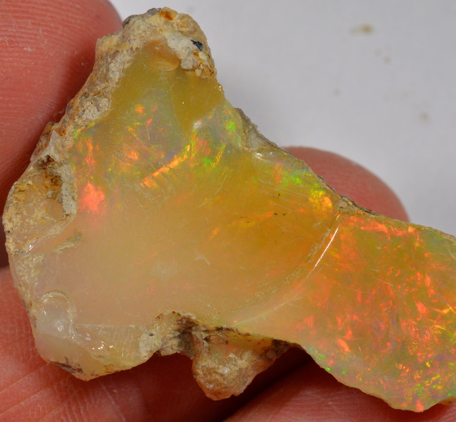 31.4 Karat - Roher Äthiopischer Welo Opal - DeinOpal