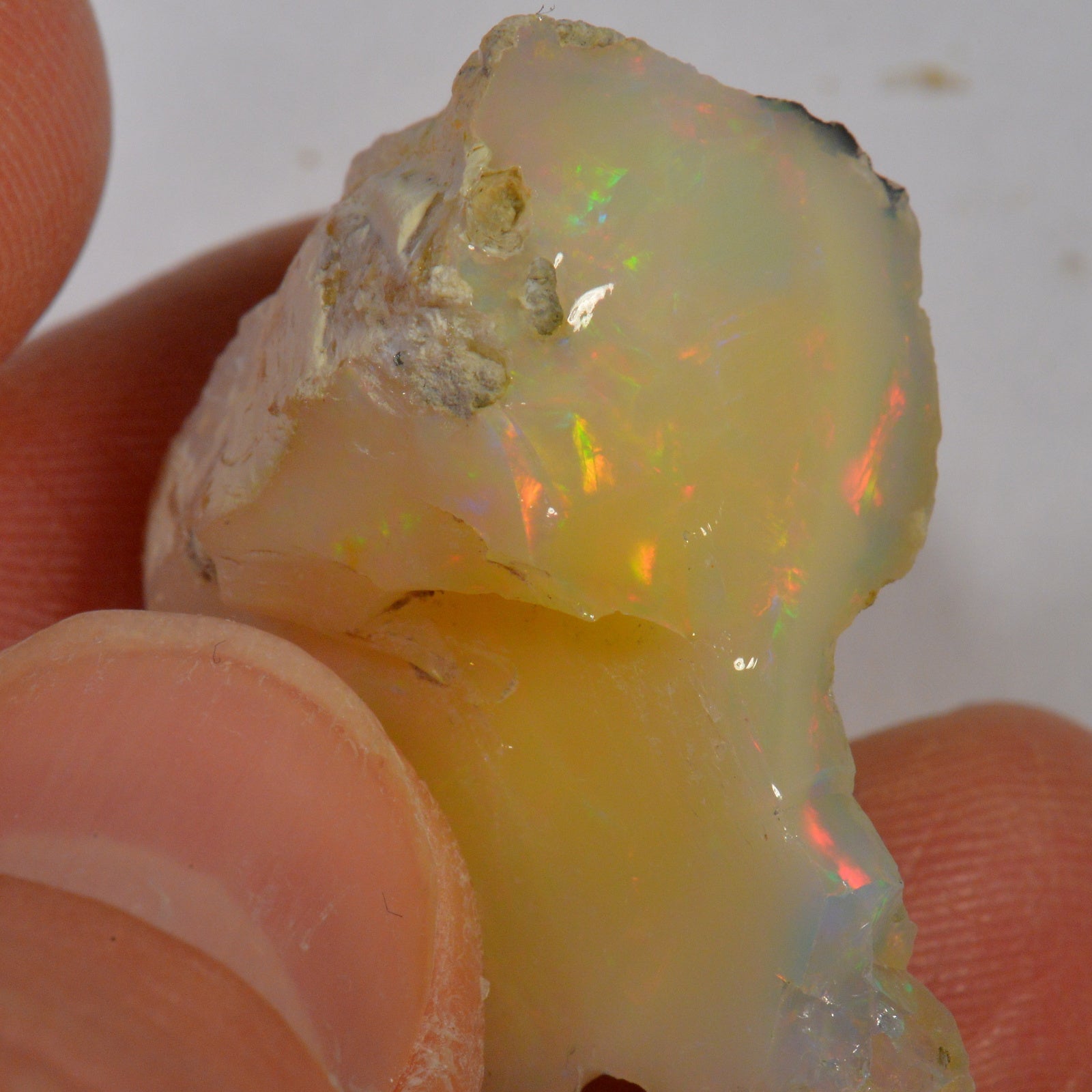 31.5 Karat - Roher Äthiopischer Welo Opal - DeinOpal