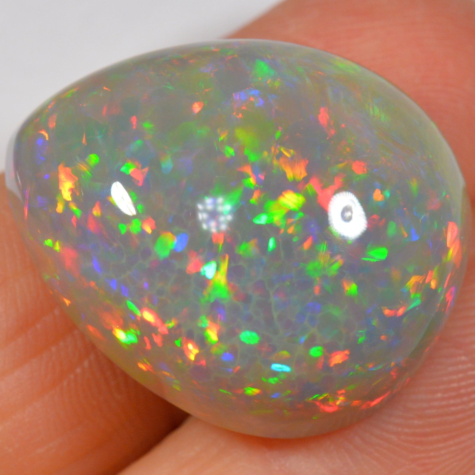 31.7 Karat - Äthiopischer Welo Opal - DeinOpal