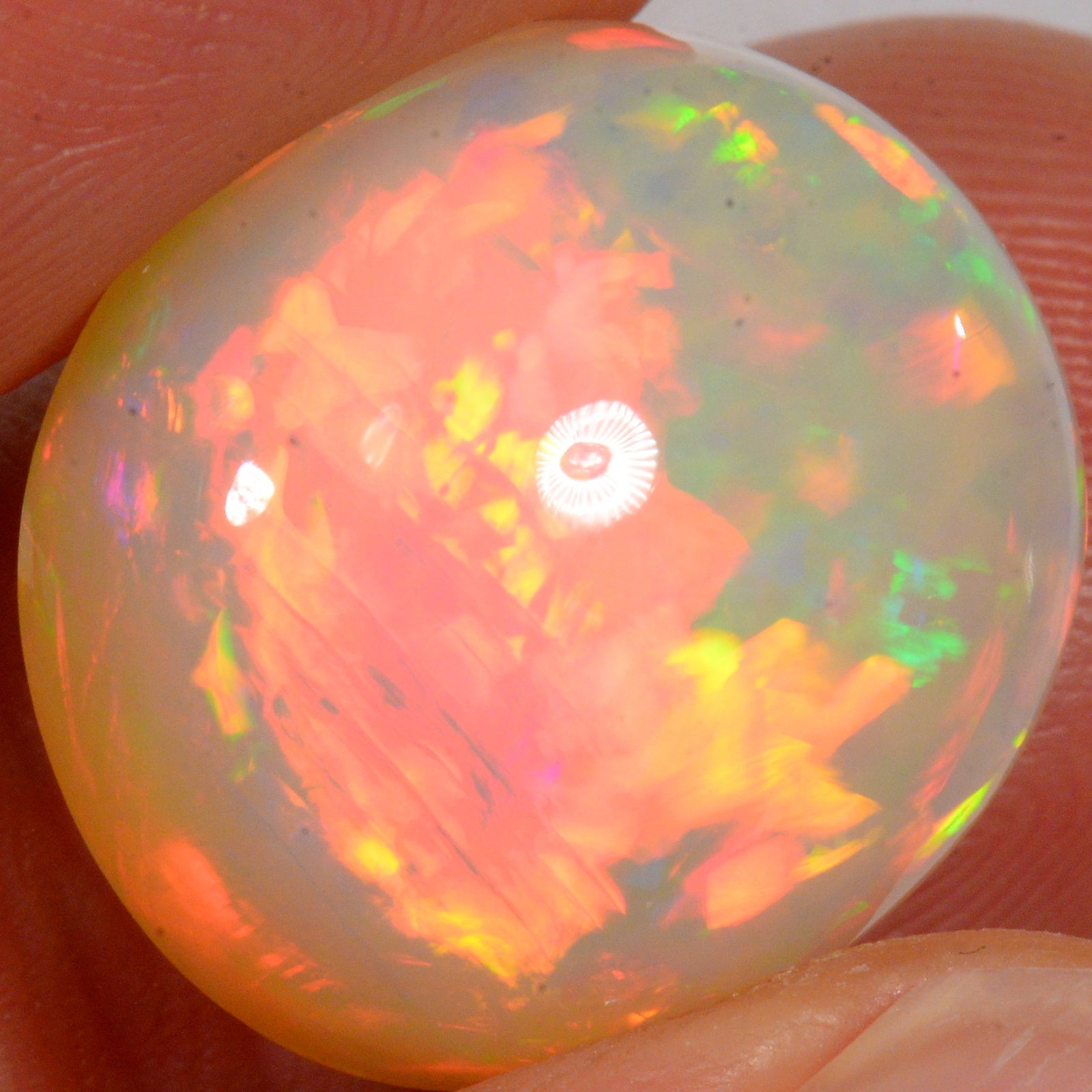 15,5 carats - Opale Welo d'Éthiopie ardente – opale Welo d'Éthiopie naturelle