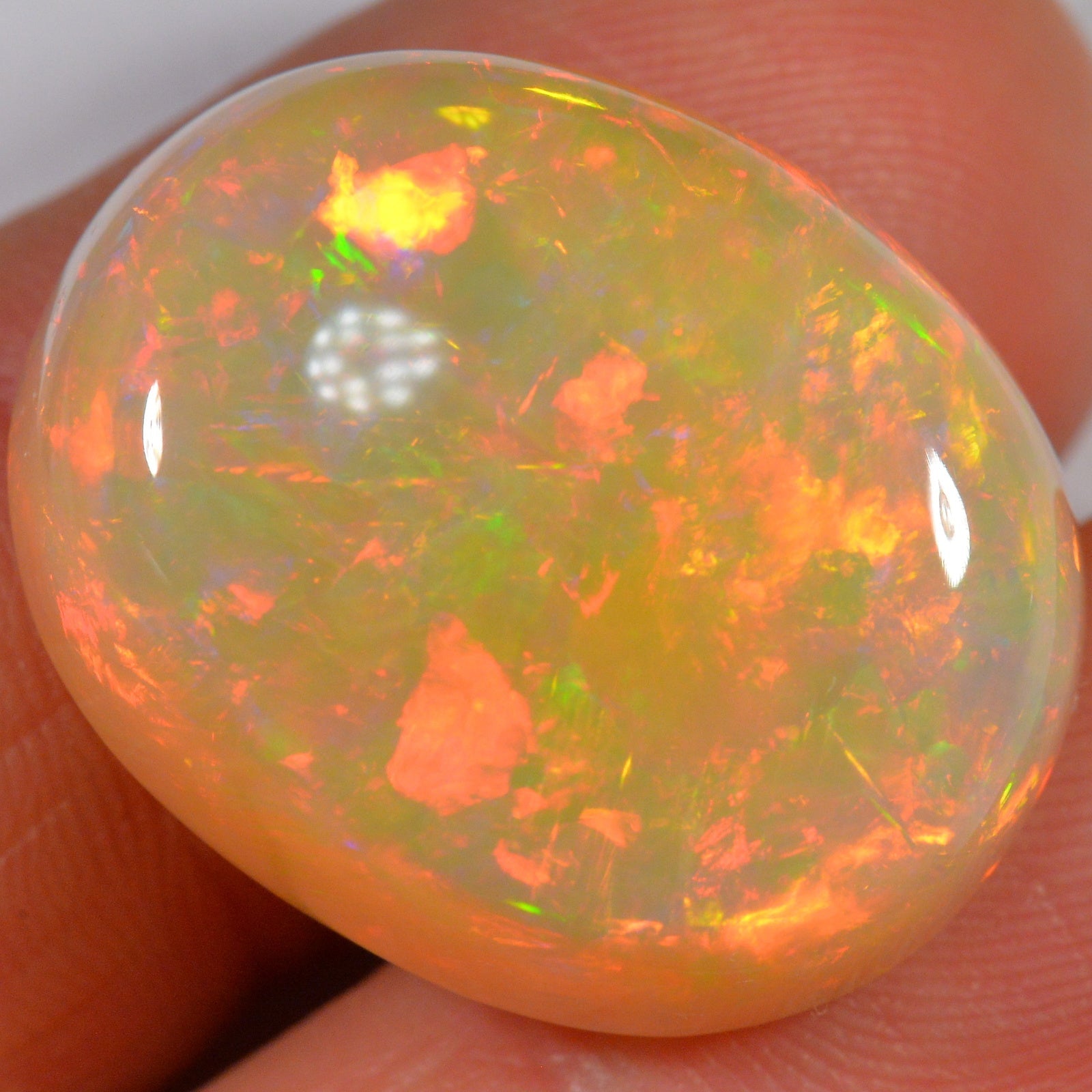 33.8 Karat - Äthiopischer Welo Opal - DeinOpal