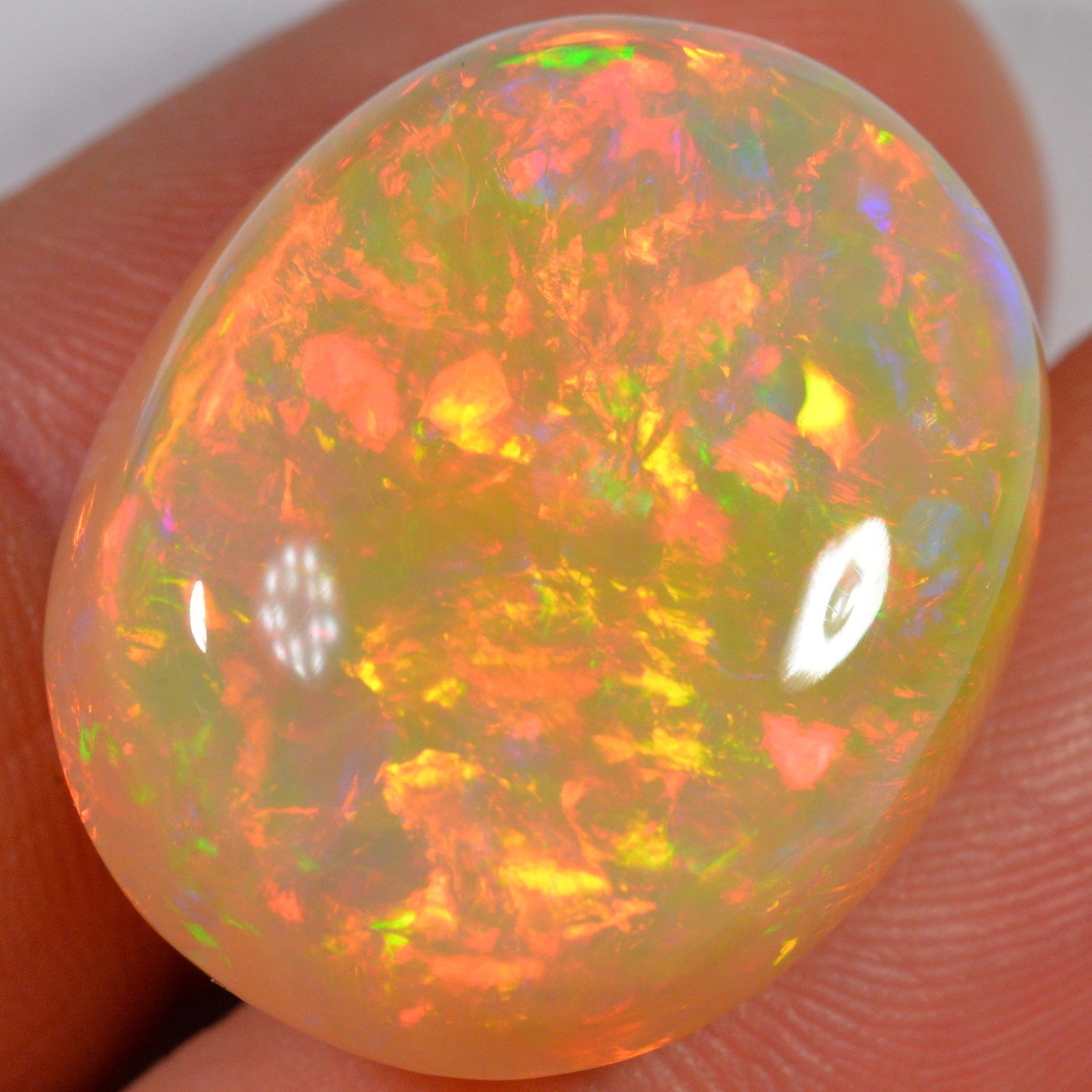 33.8 Karat - Äthiopischer Welo Opal - DeinOpal