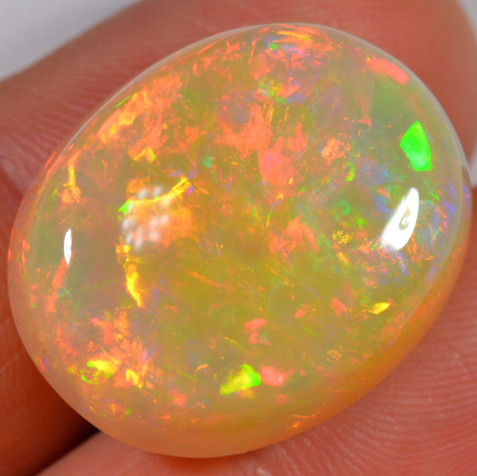 33.8 Karat - Äthiopischer Welo Opal - DeinOpal