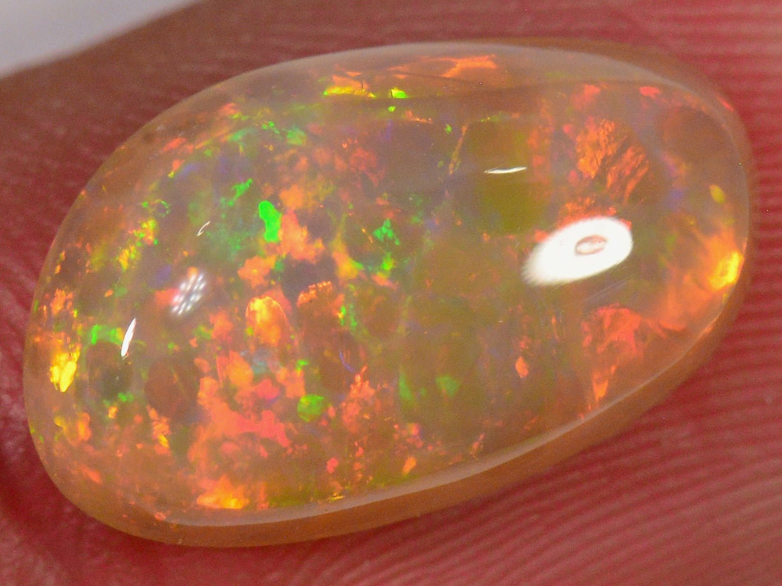 3.8 Karat - Leuchtender Äthiopischer Welo Opal - DeinOpal