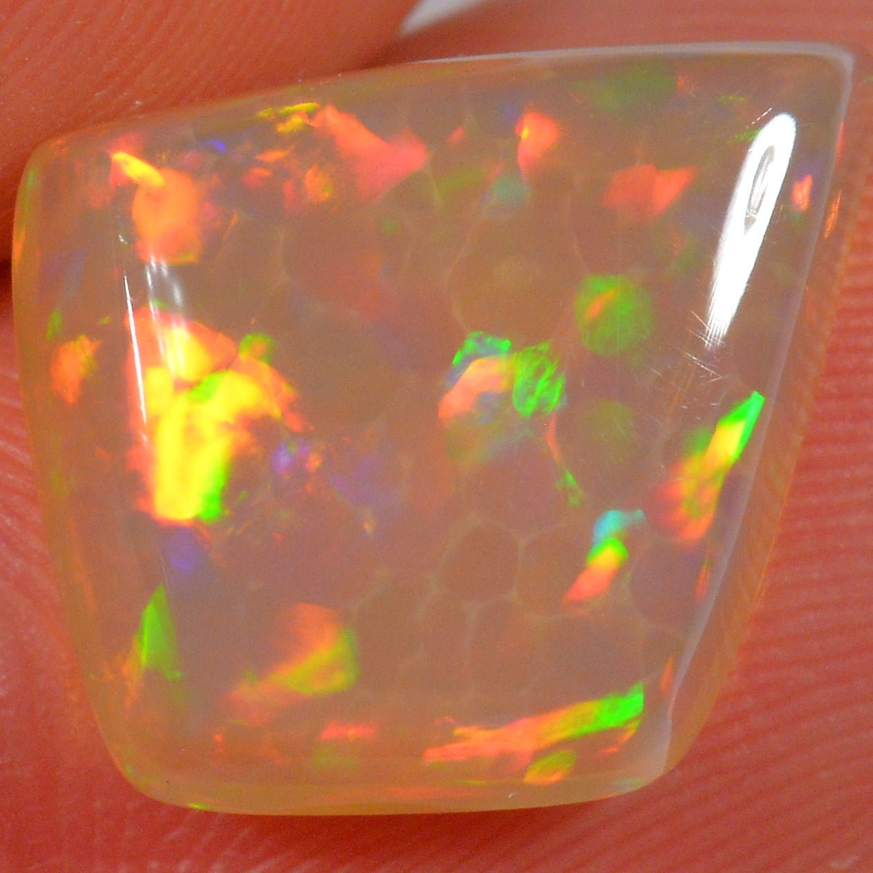 4 Karat - Äthiopischer Welo Opal - DeinOpal