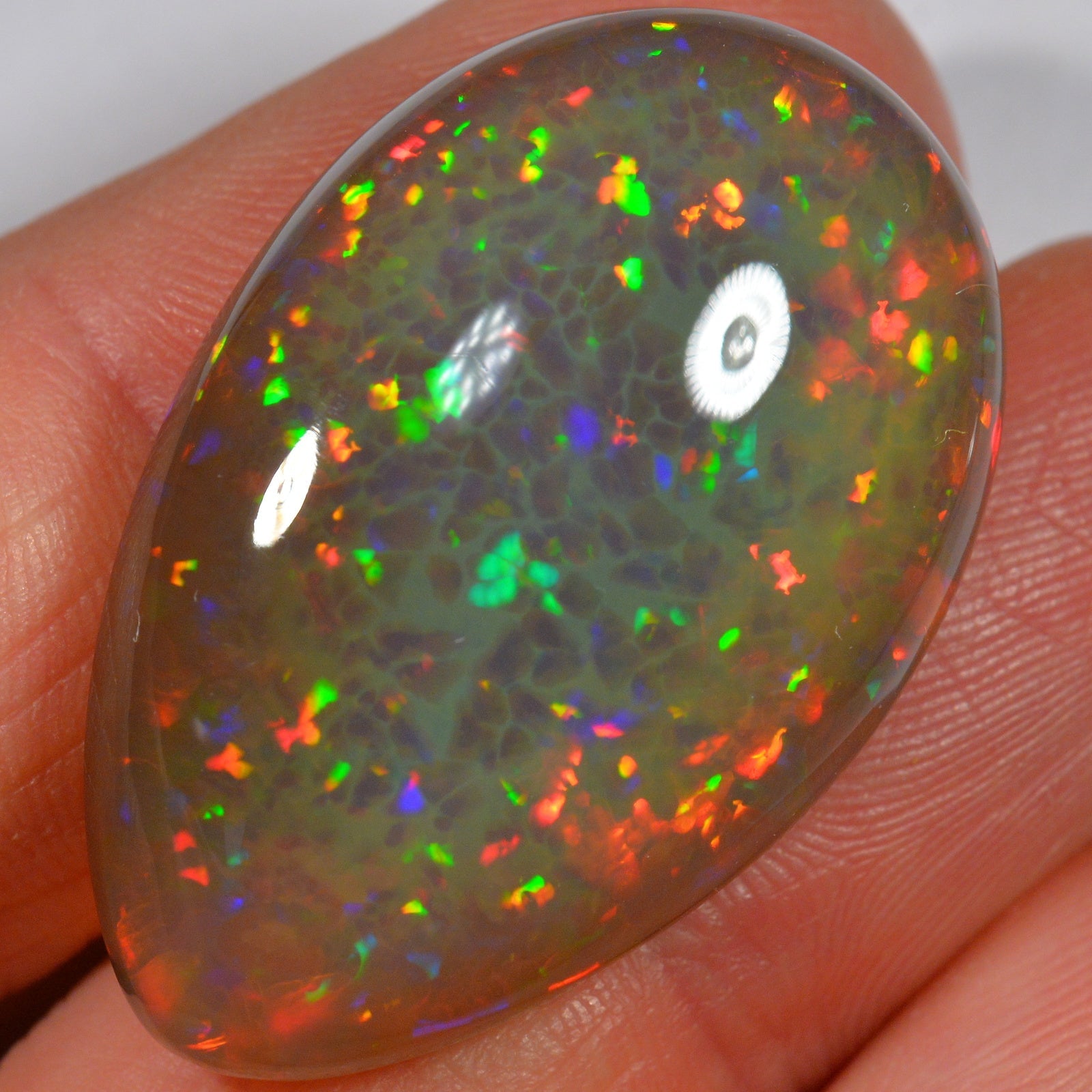 41.6 Karat - Äthiopischer Welo Opal - DeinOpal