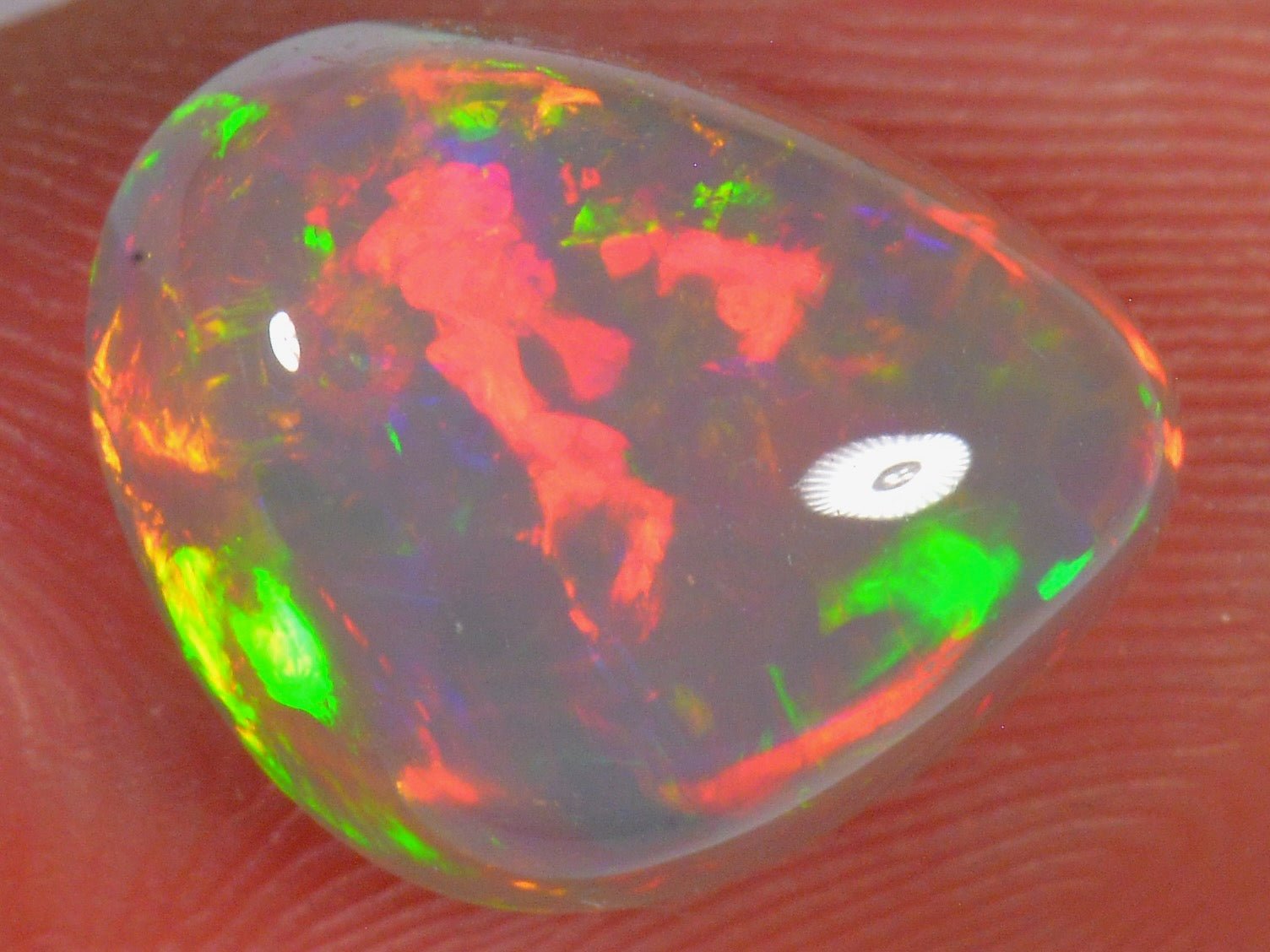 4.5 Karat - Brillianter Äthiopischer Welo Opal - DeinOpal