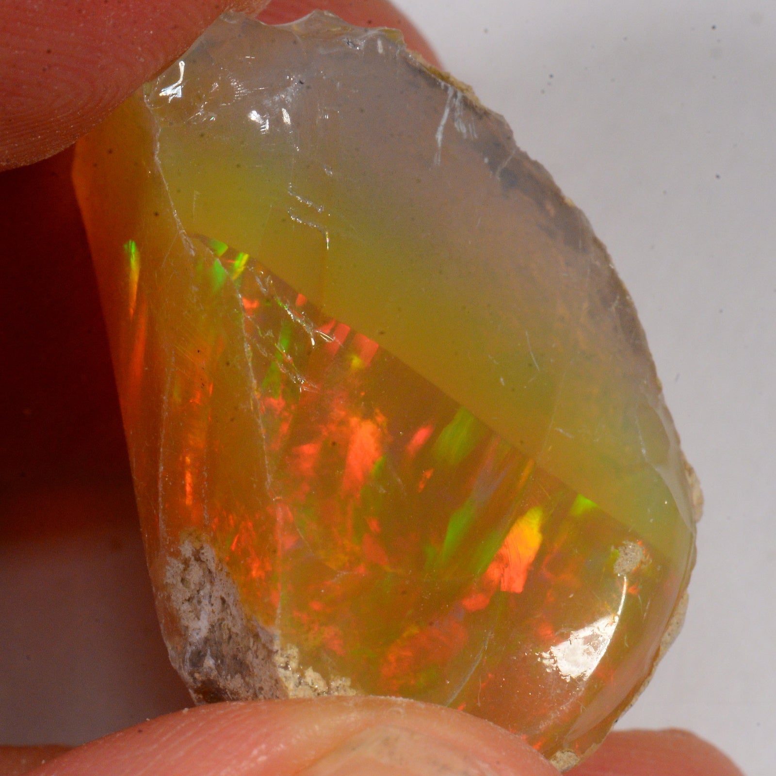 50 Karat - Roher Äthiopischer Welo Opal - DeinOpal