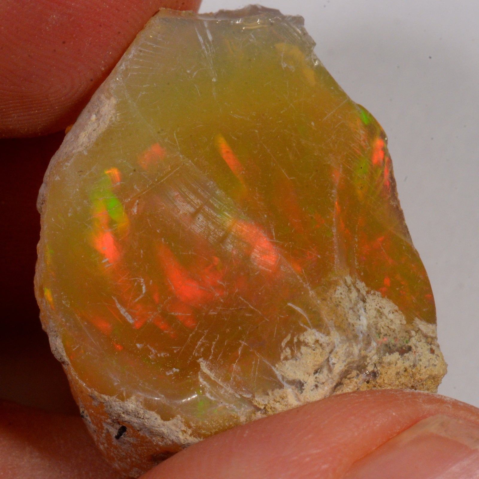 50 Karat - Roher Äthiopischer Welo Opal - DeinOpal