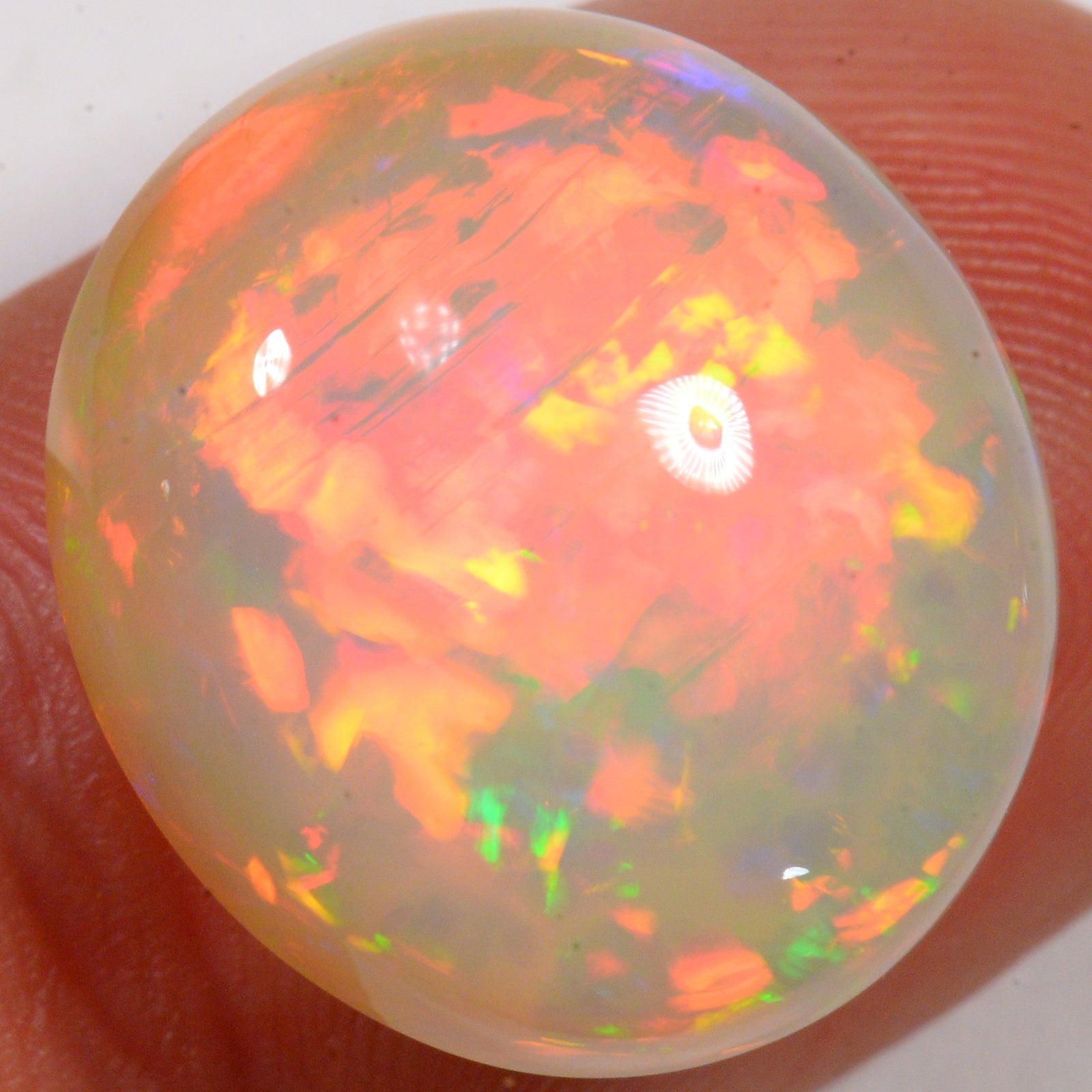 15,5 carats - Opale Welo d'Éthiopie ardente – opale Welo d'Éthiopie naturelle