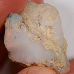65.5 Karat - Roher Äthiopischer Welo Opal - DeinOpal