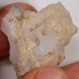 65.5 Karat - Roher Äthiopischer Welo Opal - DeinOpal