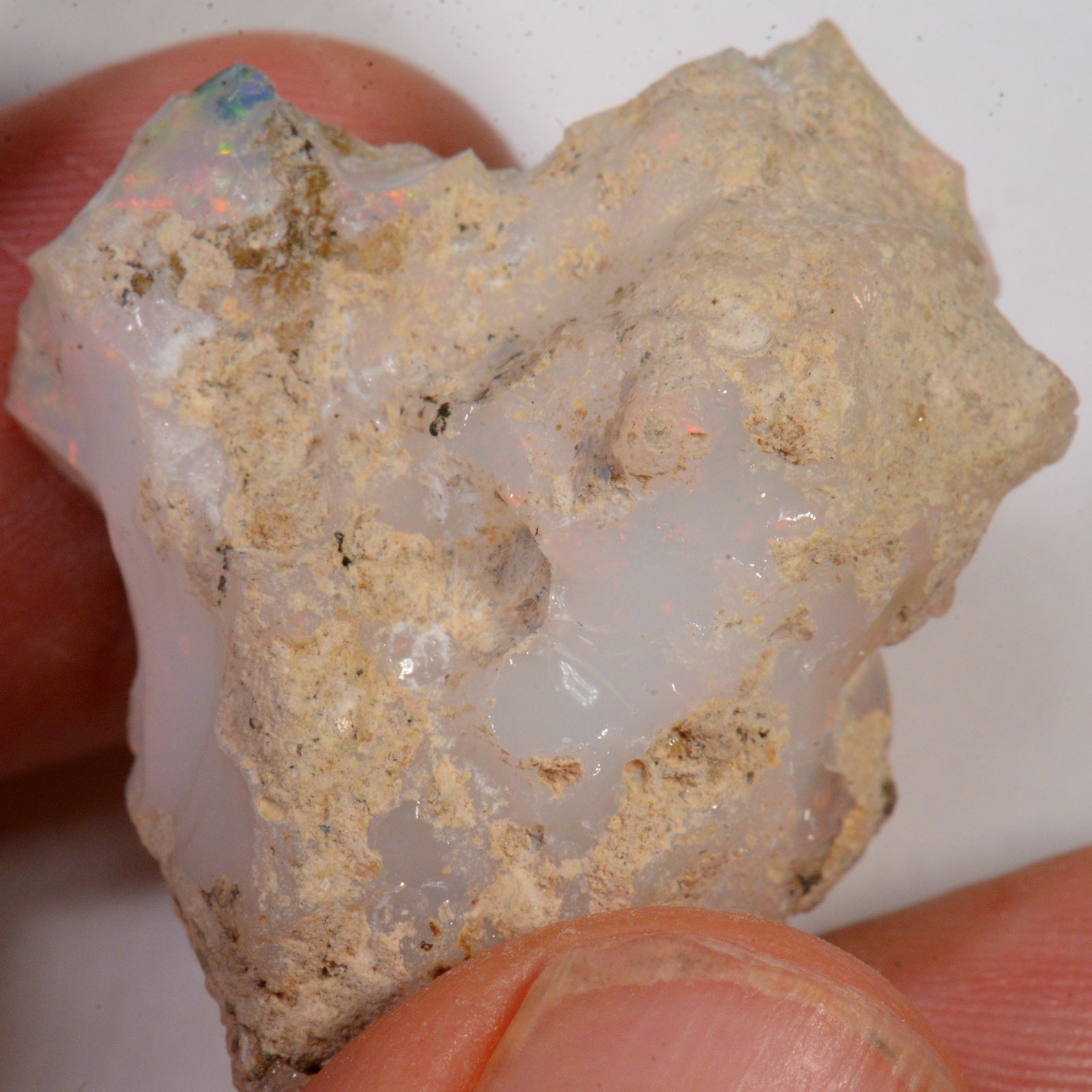 65.5 Karat - Roher Äthiopischer Welo Opal - DeinOpal