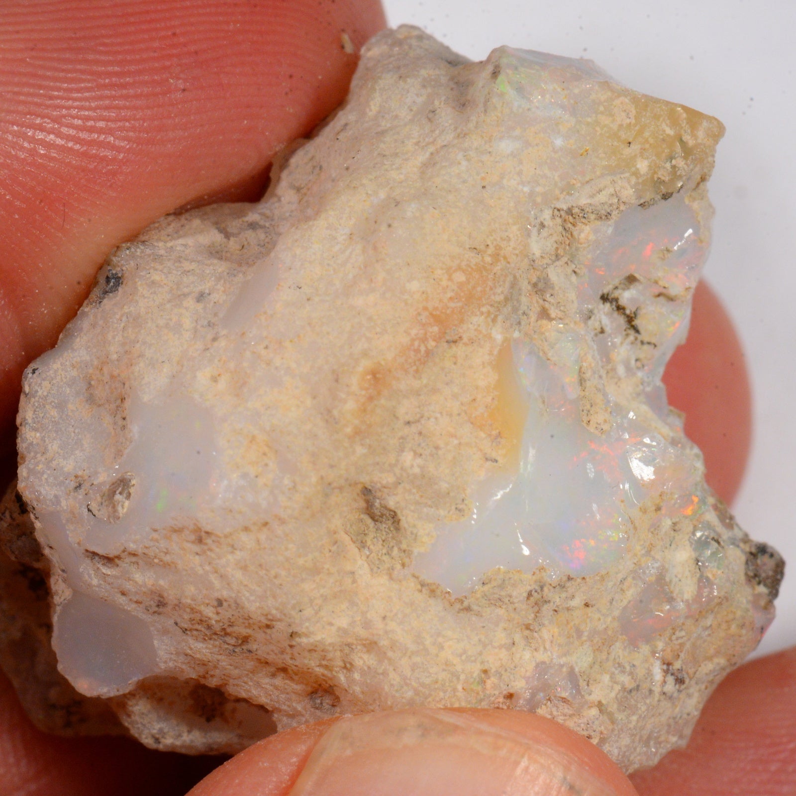 65.5 Karat - Roher Äthiopischer Welo Opal - DeinOpal