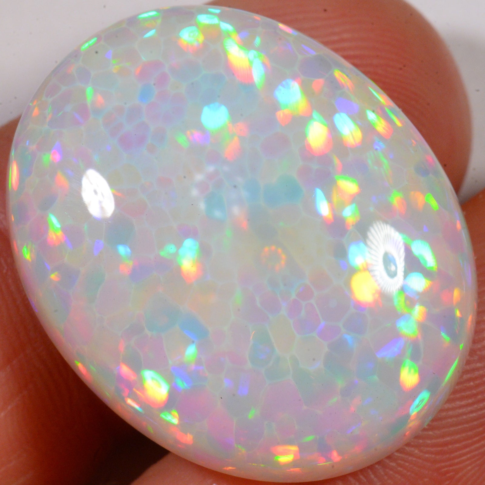 28.1 Carat - Brilliant True Honeycomb Ethiopian Welo Opal — natural untreated Ethiopian Welo opal